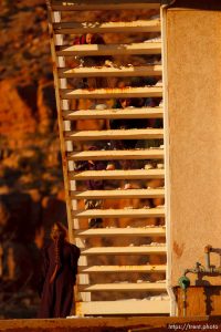 Hildale - Kids playing on stairs; 12.19.2006