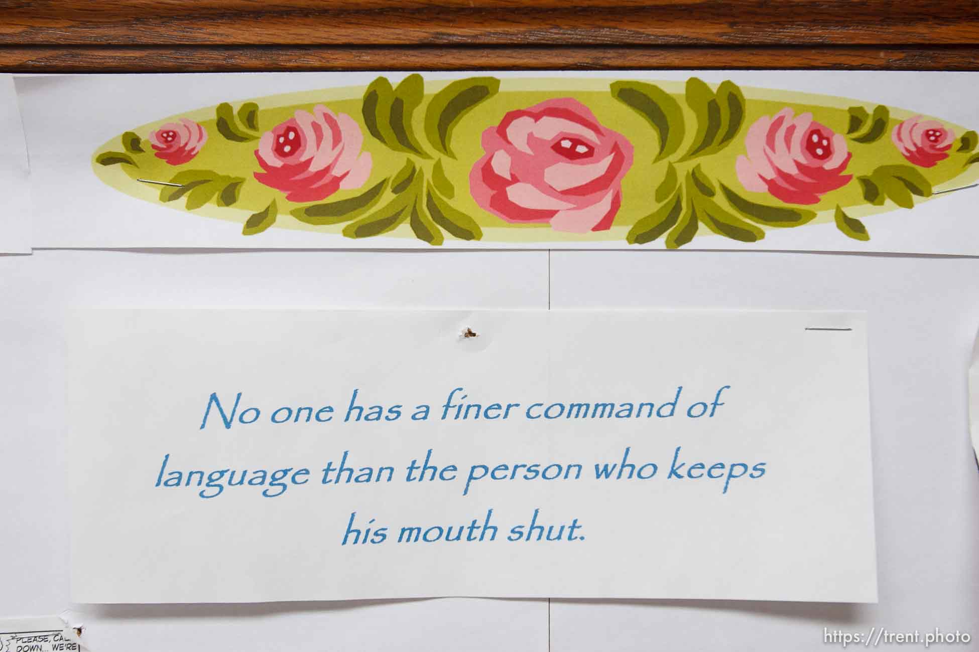 Canon EOS-1D Mark II N