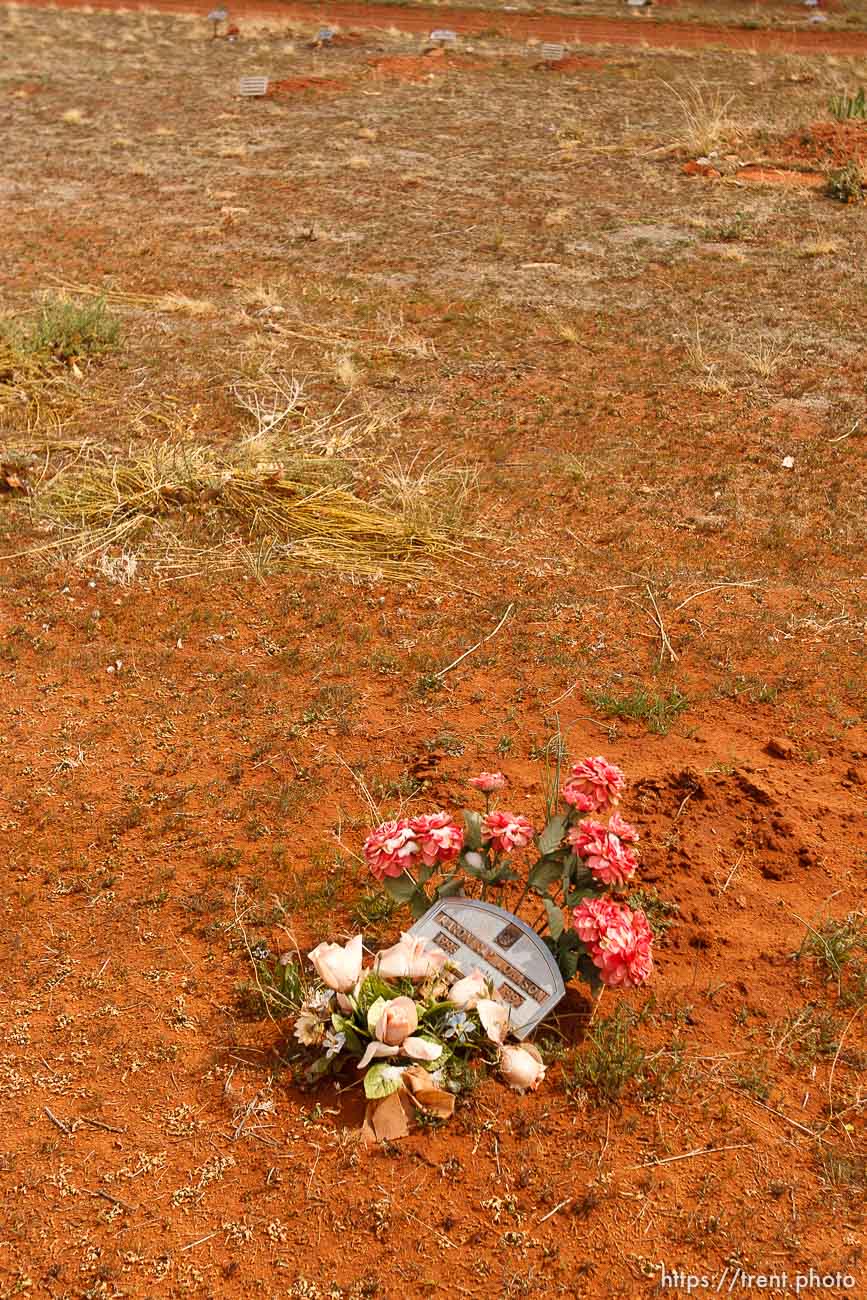 Polygamy in the American West