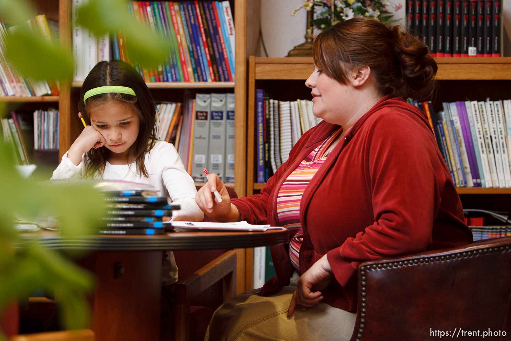 Polygamy in the American West