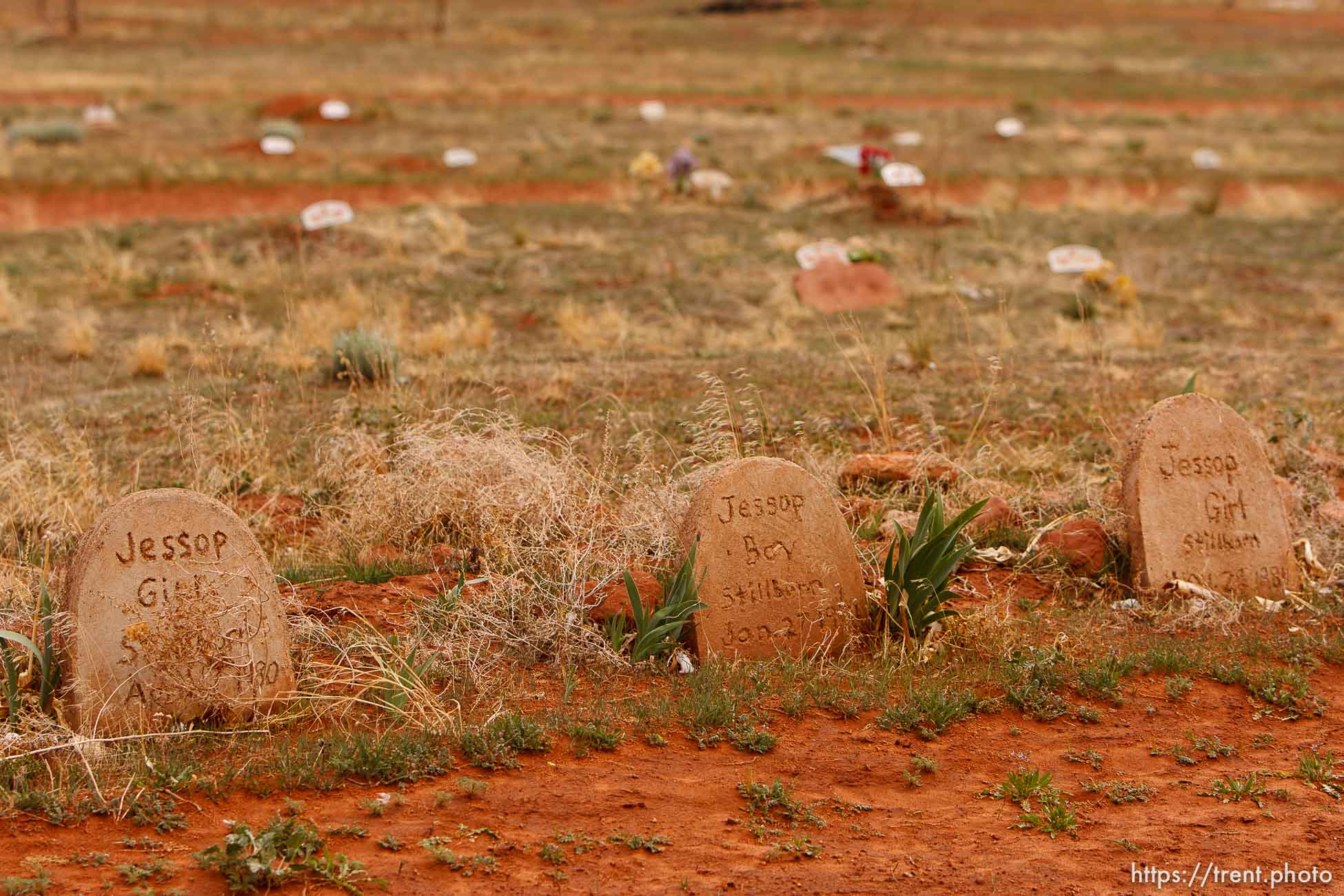 Canon EOS-1D Mark II N