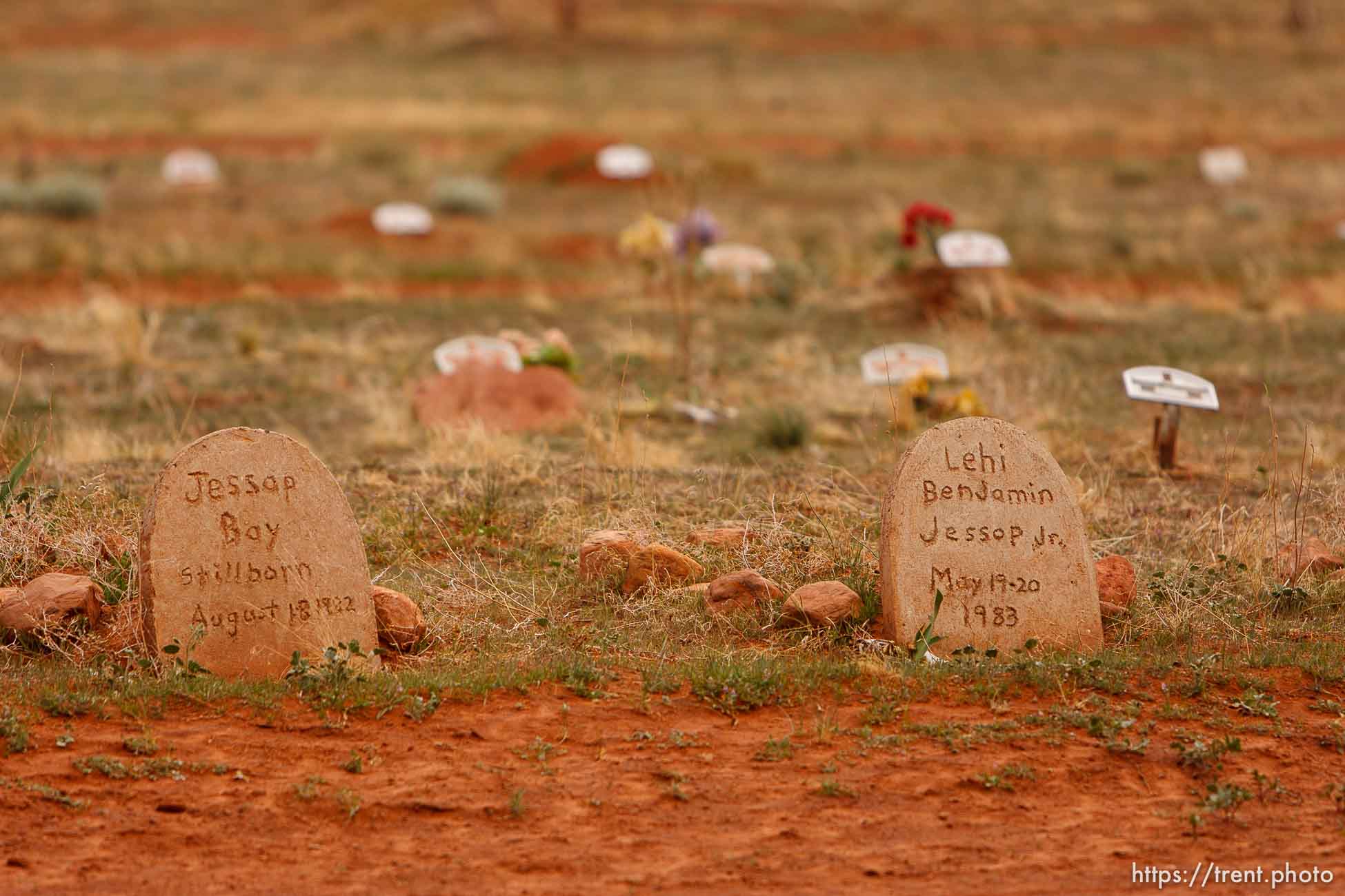 Polygamy in the American West