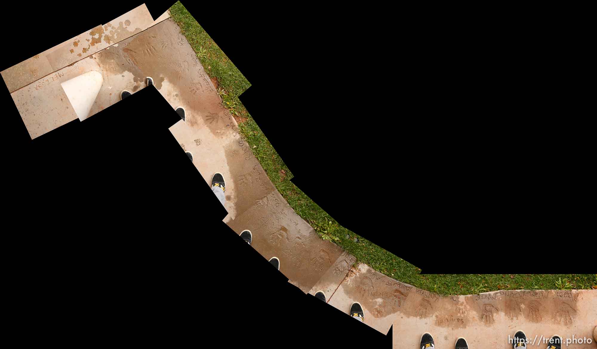 Polygamy in the American West