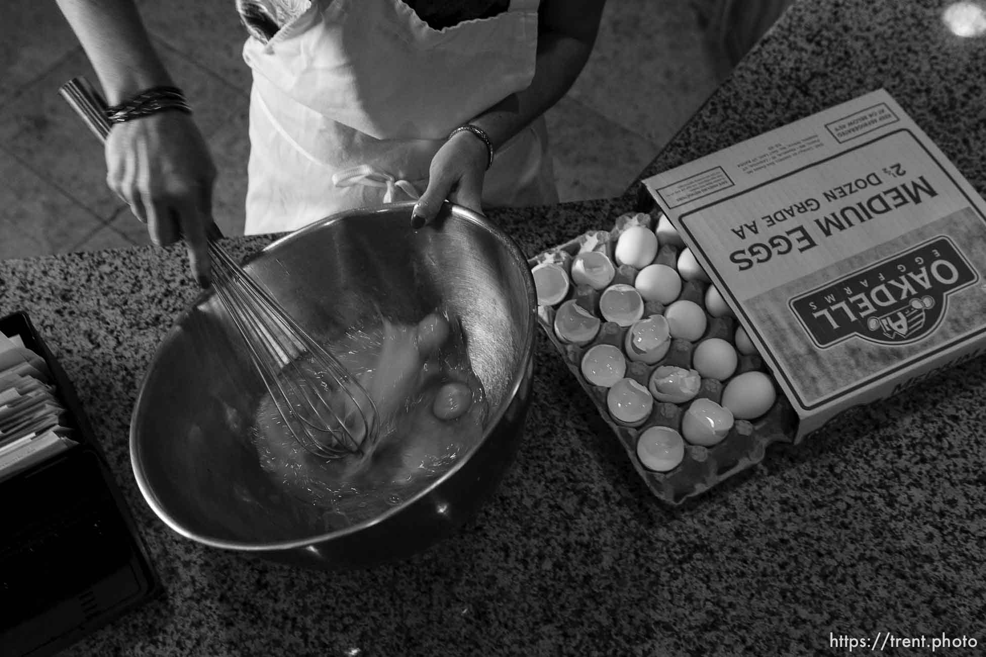 Polygamy in the American West