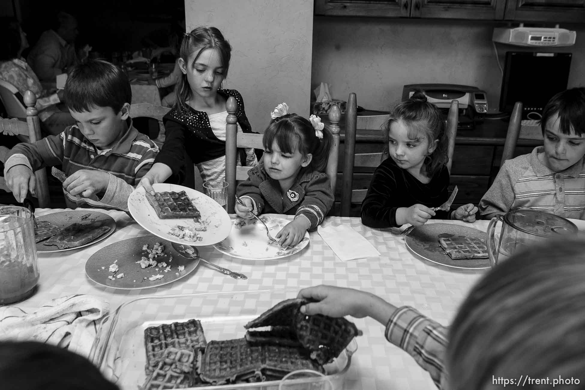 Canon EOS-1D Mark II N