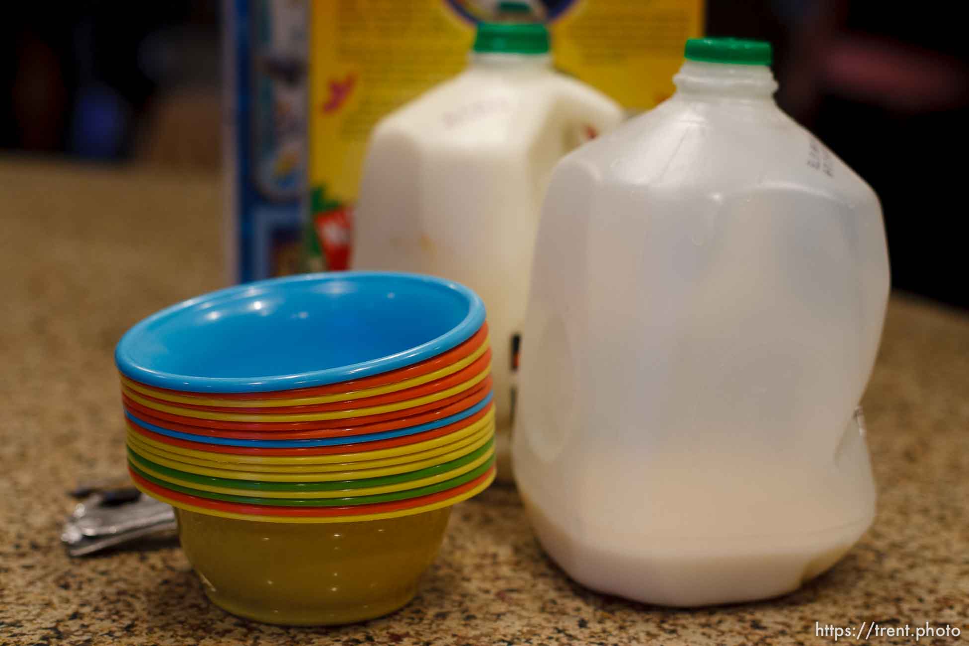 Polygamy in the American West