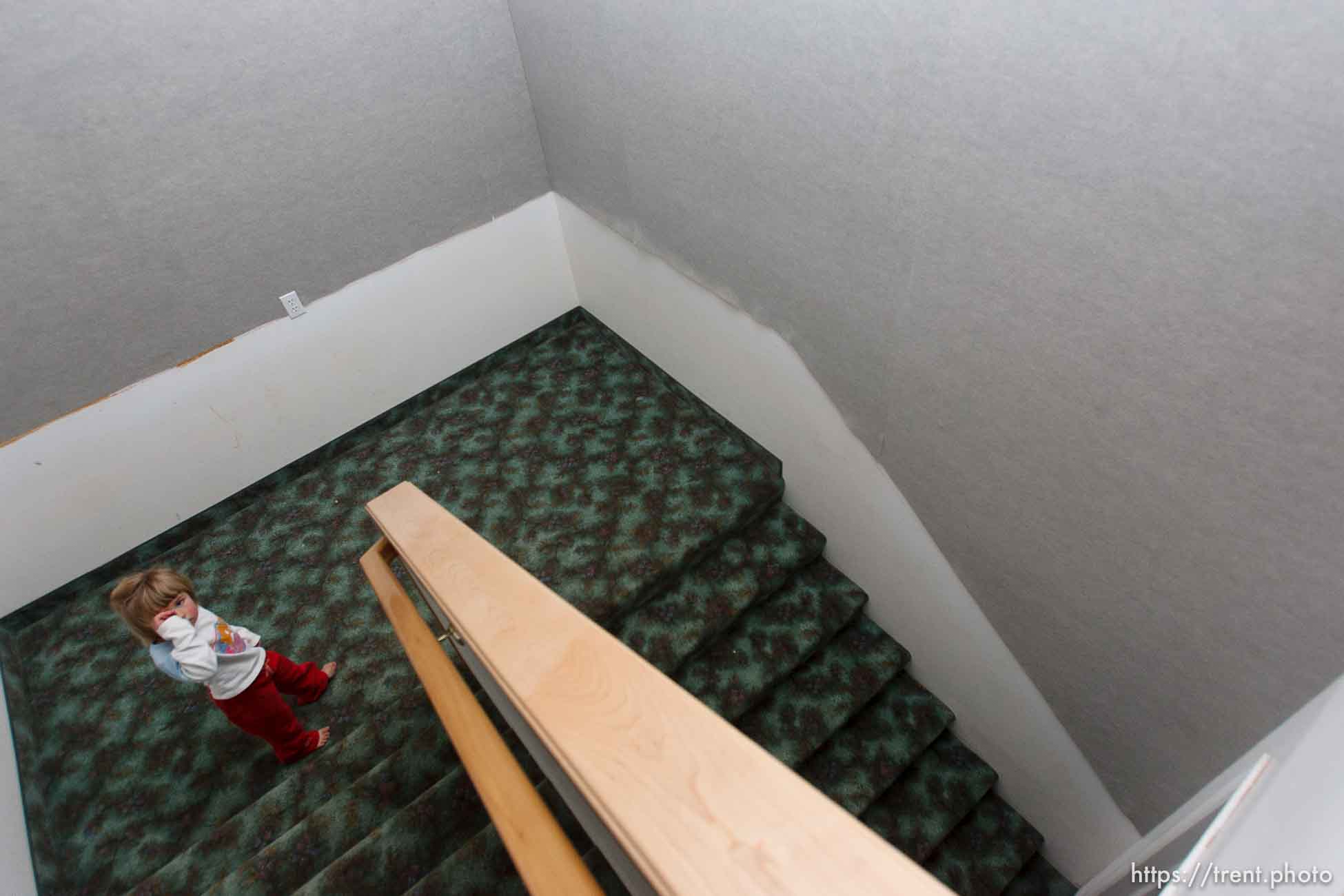 Polygamy in the American West