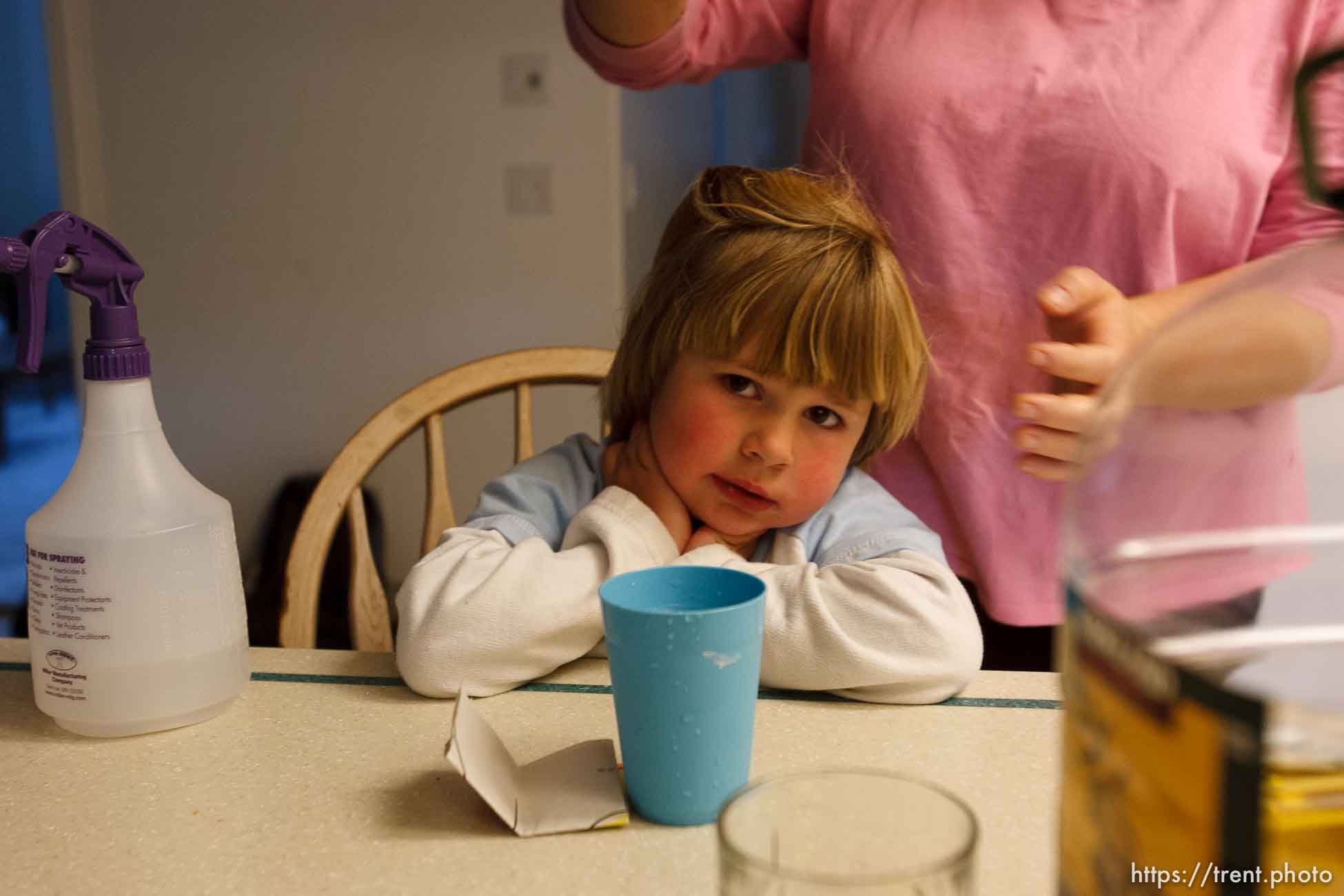 Polygamy in the American West