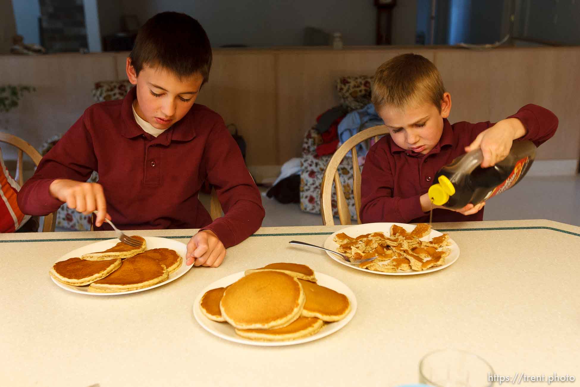 Polygamy in the American West