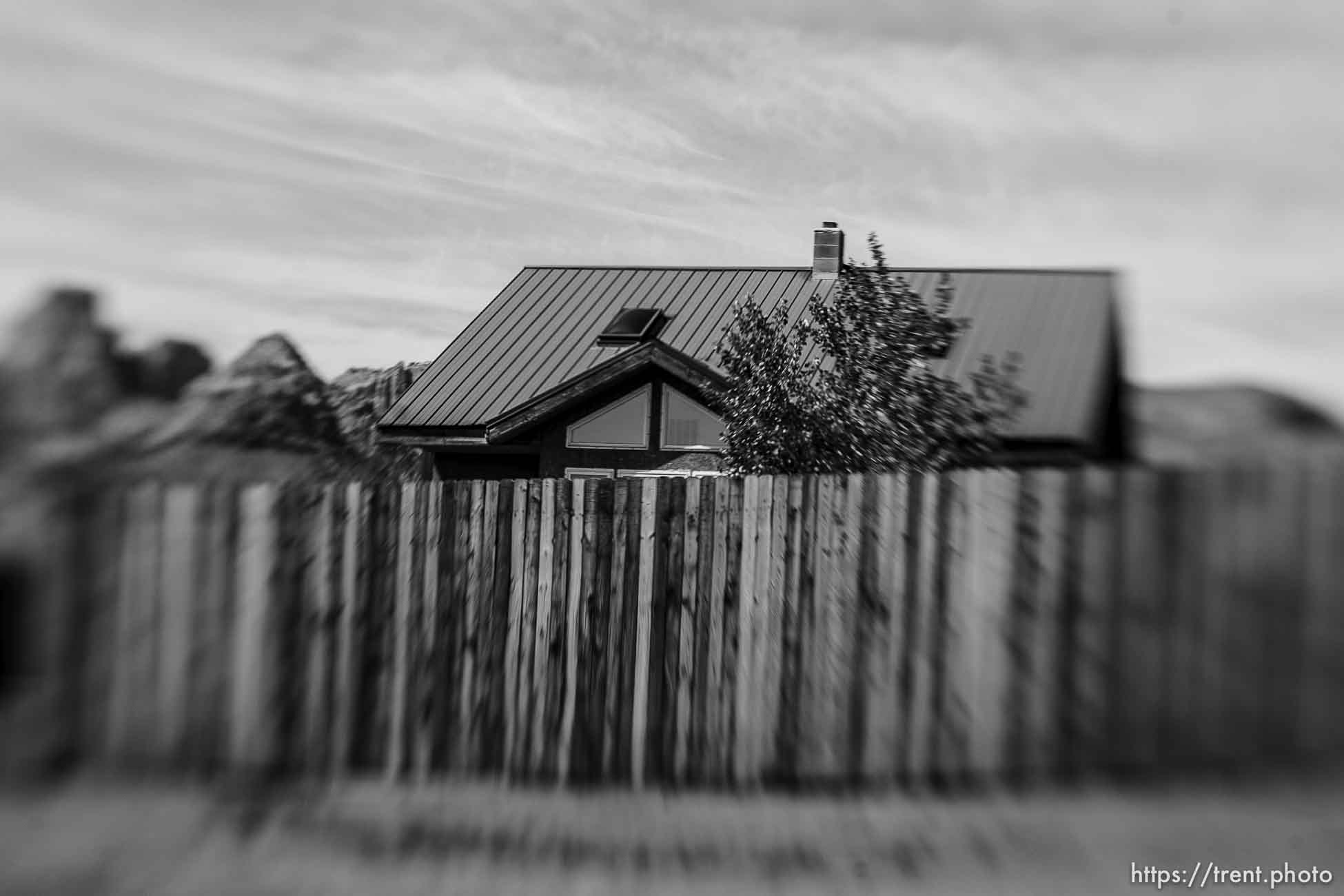 Polygamy in the American West