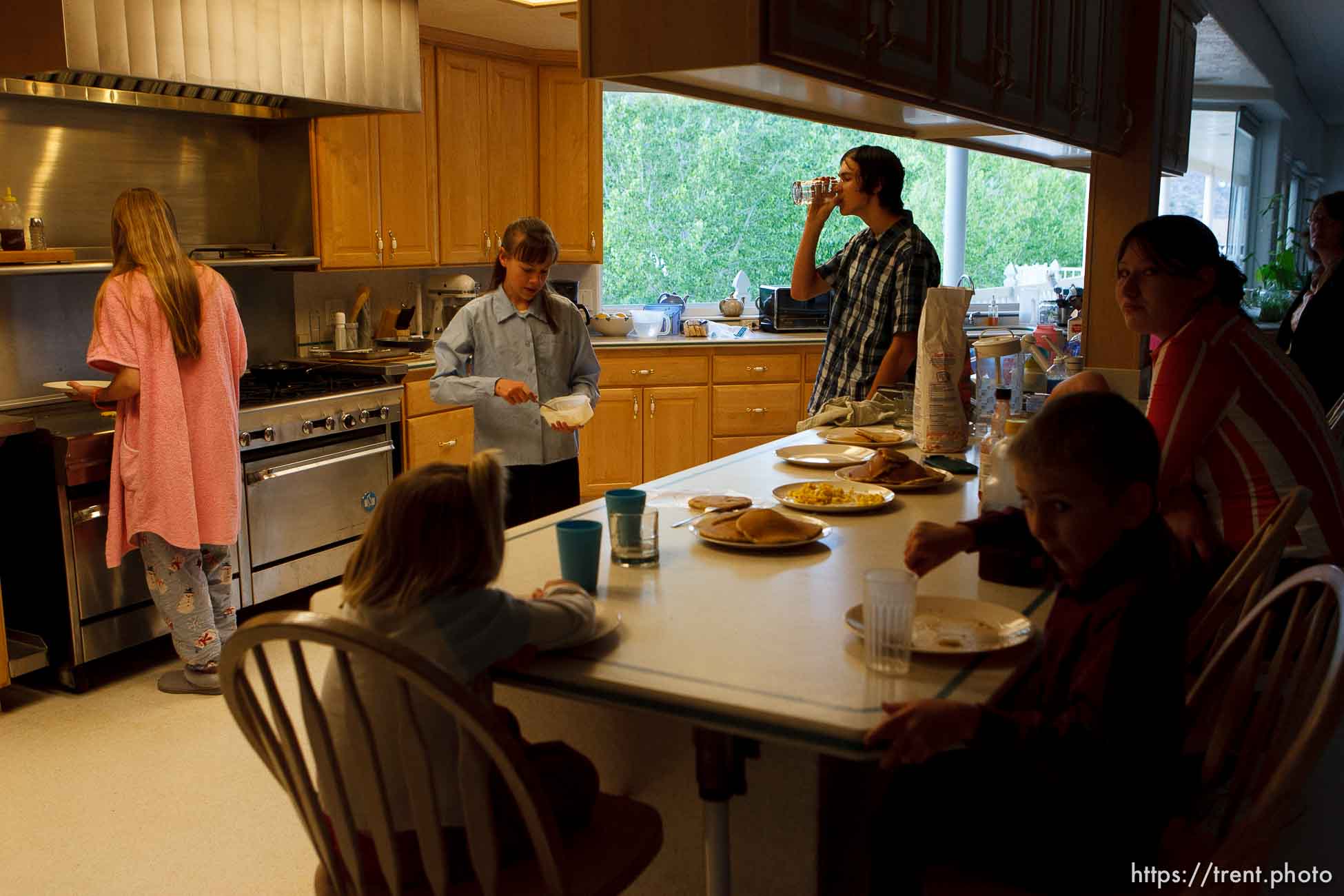 Polygamy in the American West