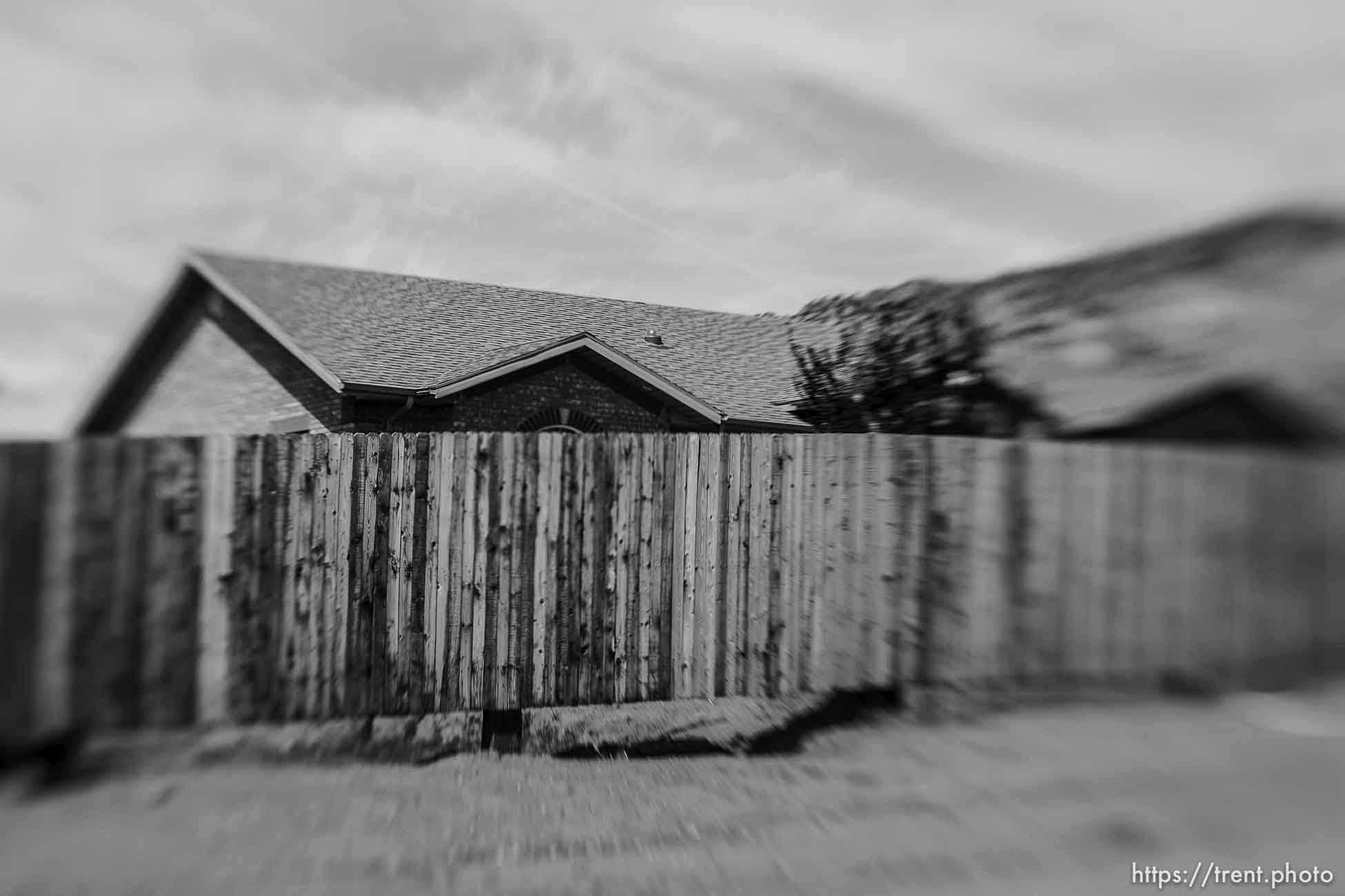 Polygamy in the American West