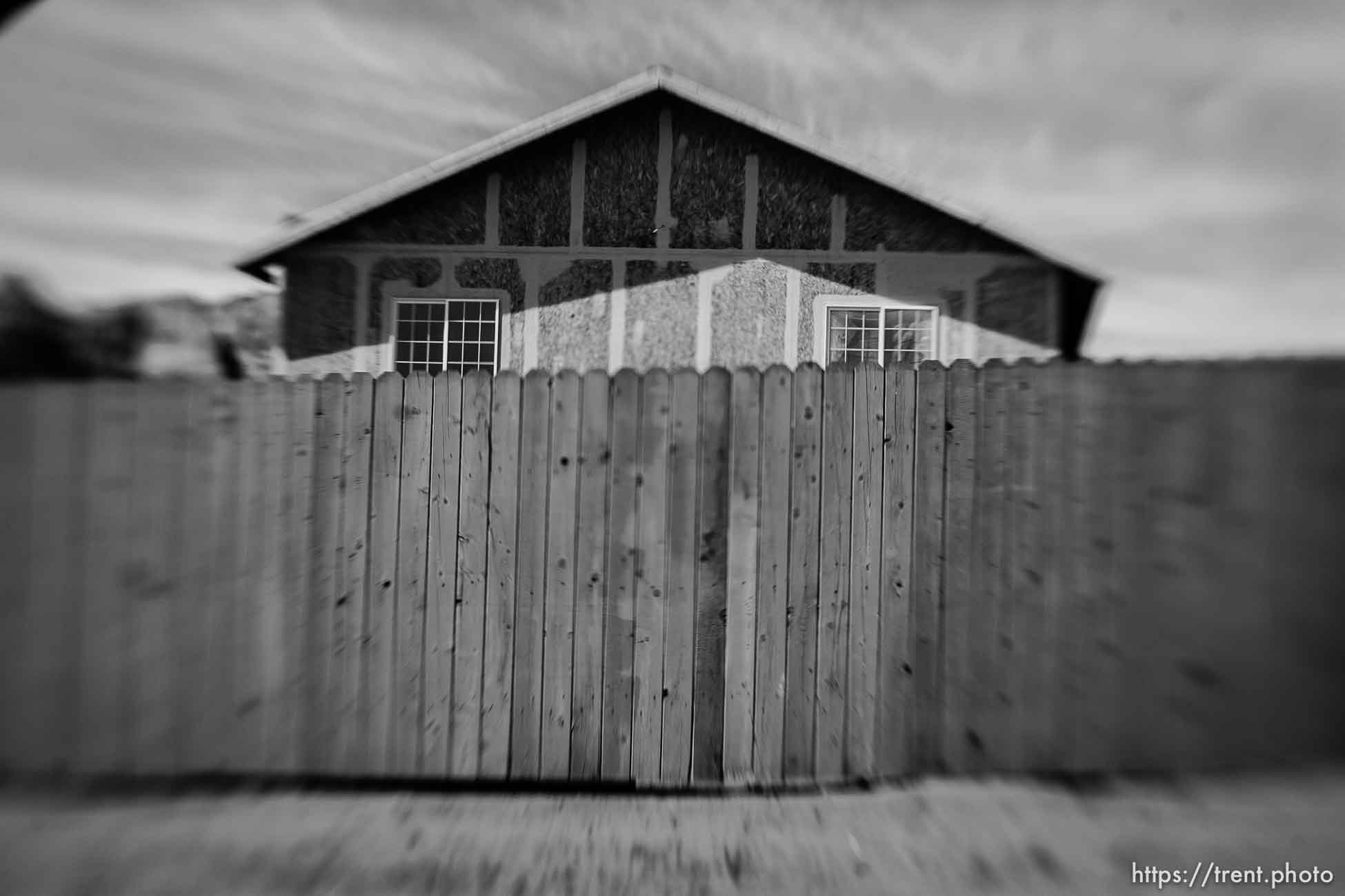 Polygamy in the American West