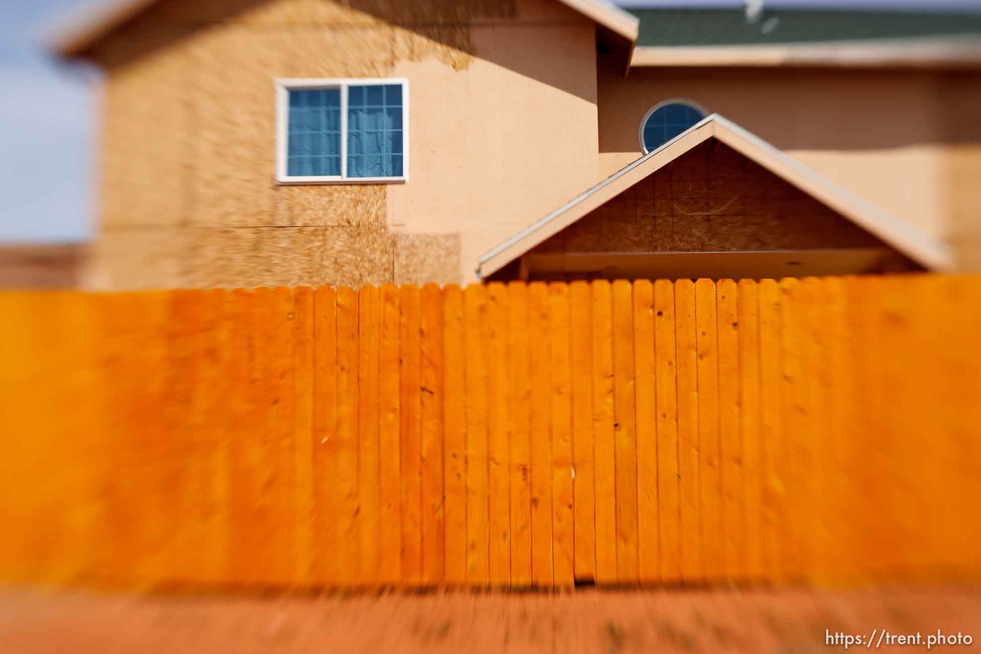 Polygamy in the American West