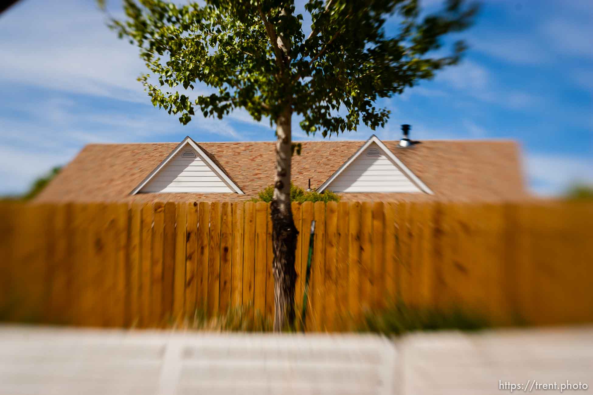 Polygamy in the American West