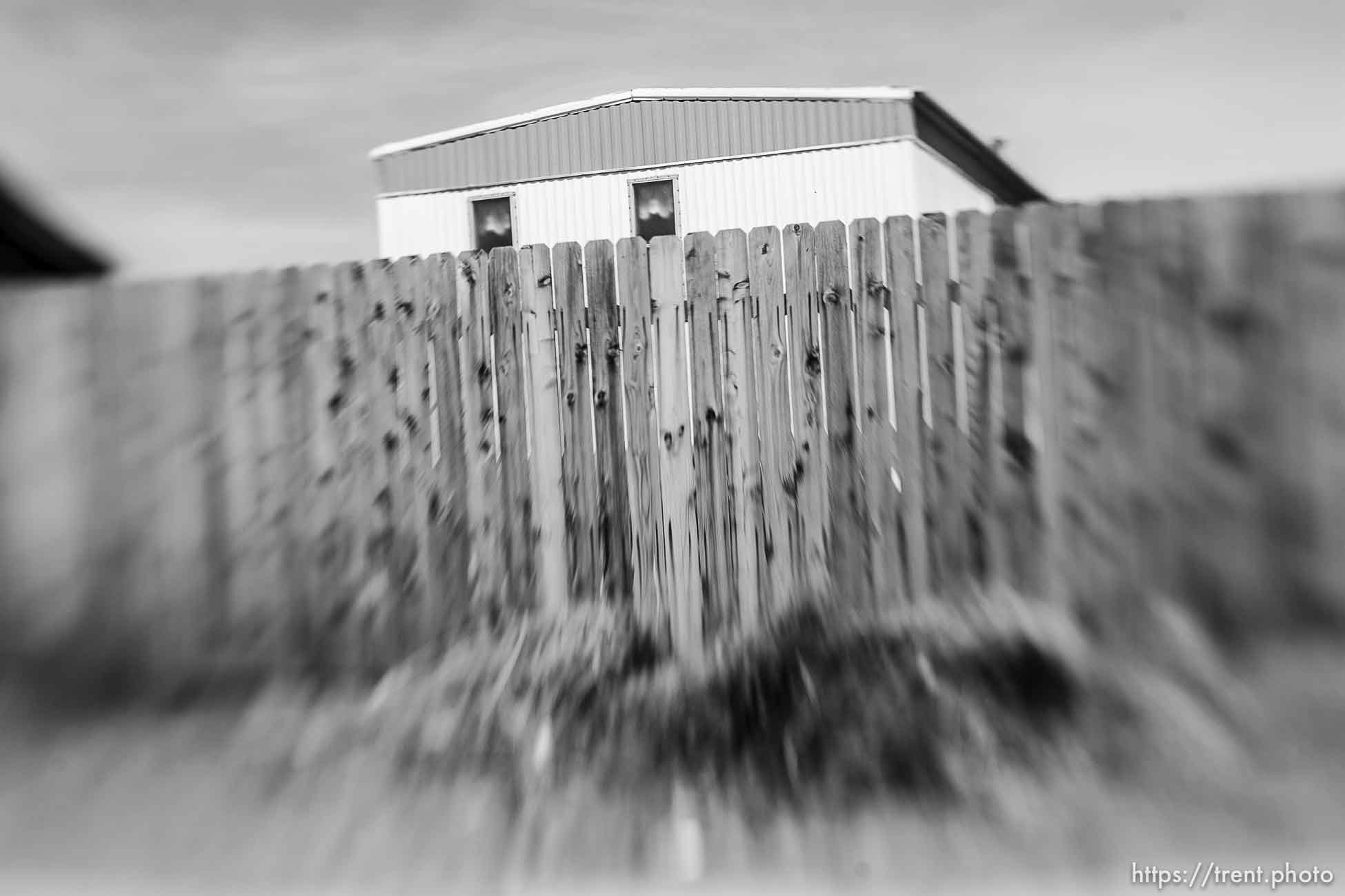 Polygamy in the American West