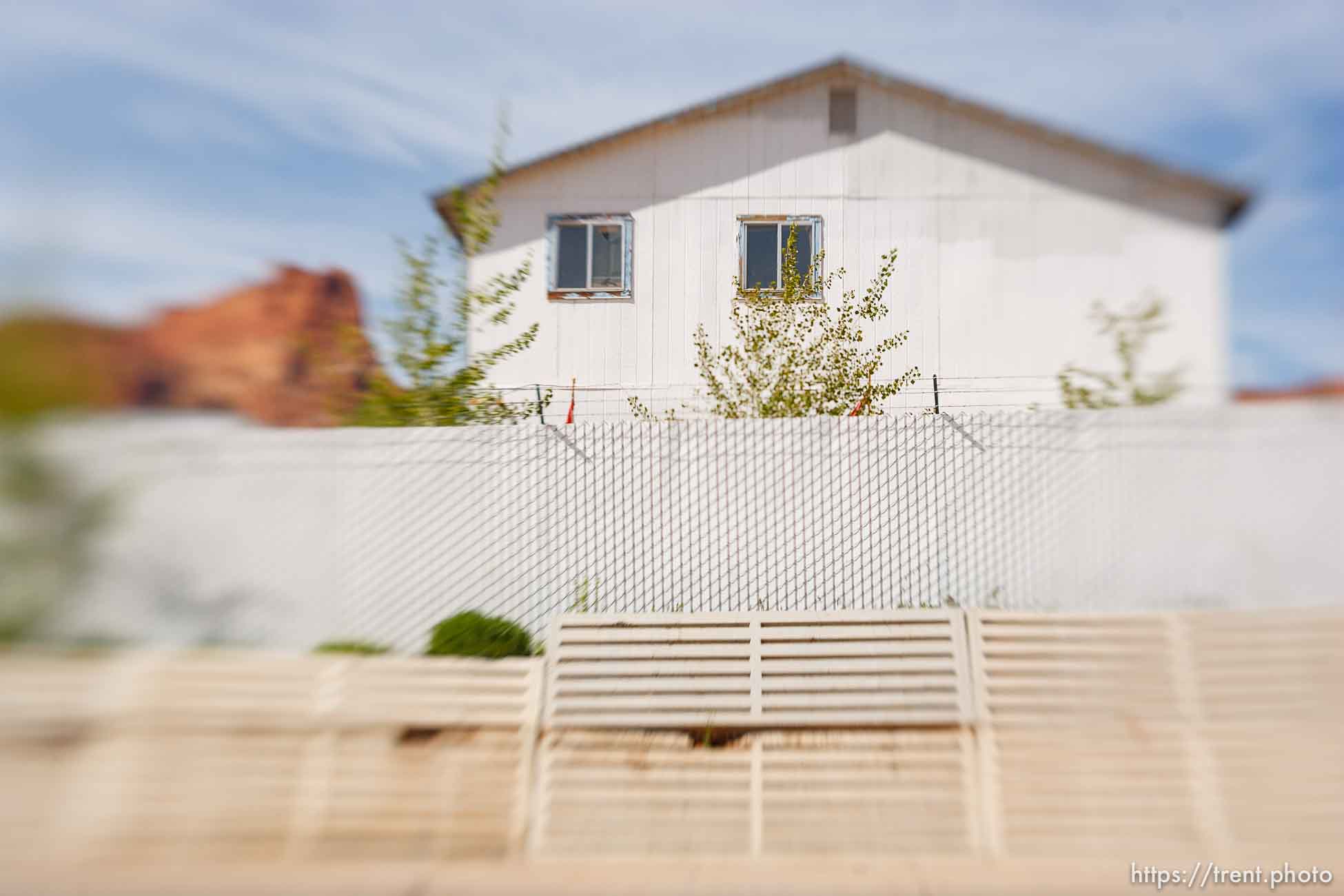 Polygamy in the American West