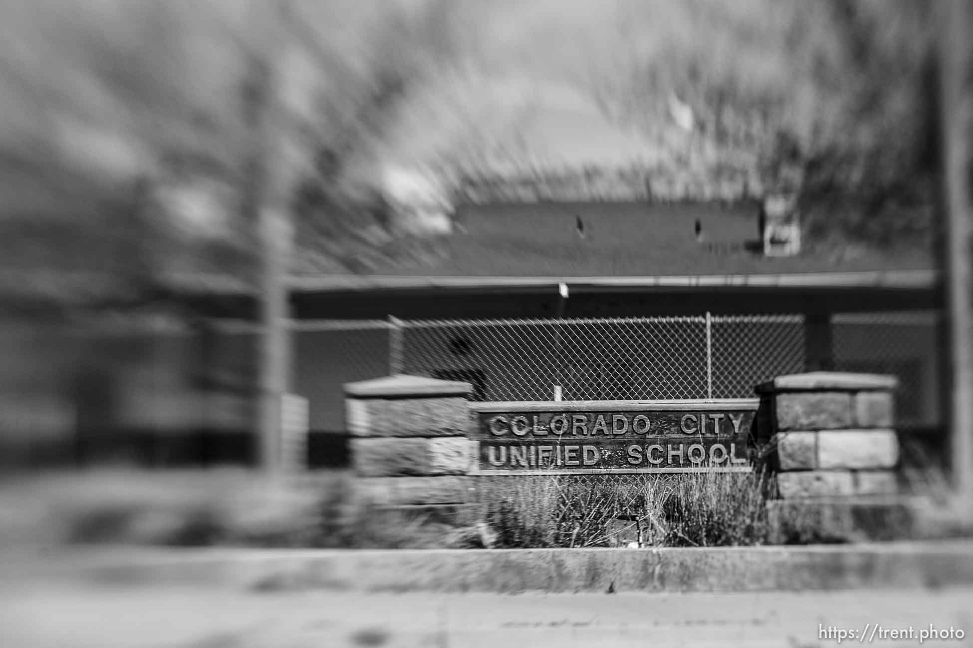 Polygamy in the American West