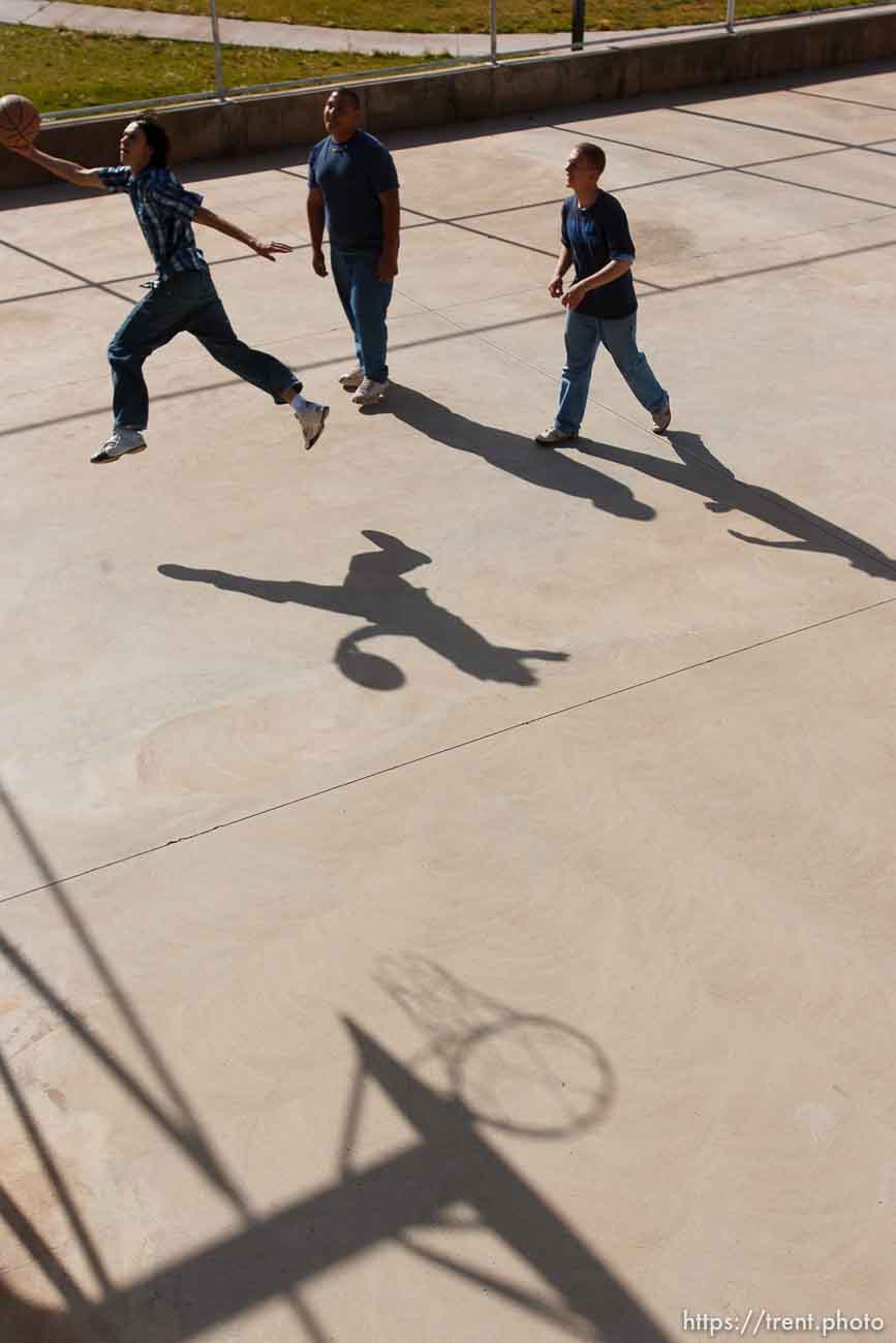 Polygamy in the American West