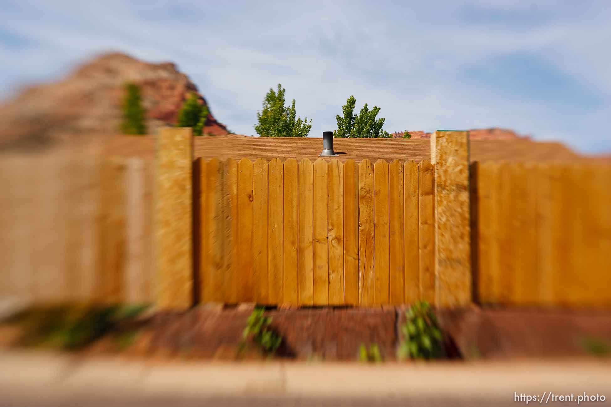 Polygamy in the American West