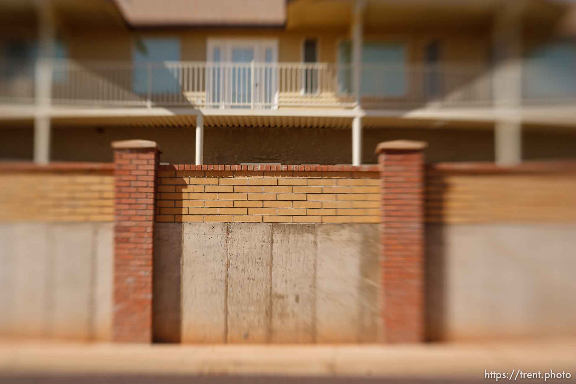 Polygamy in the American West