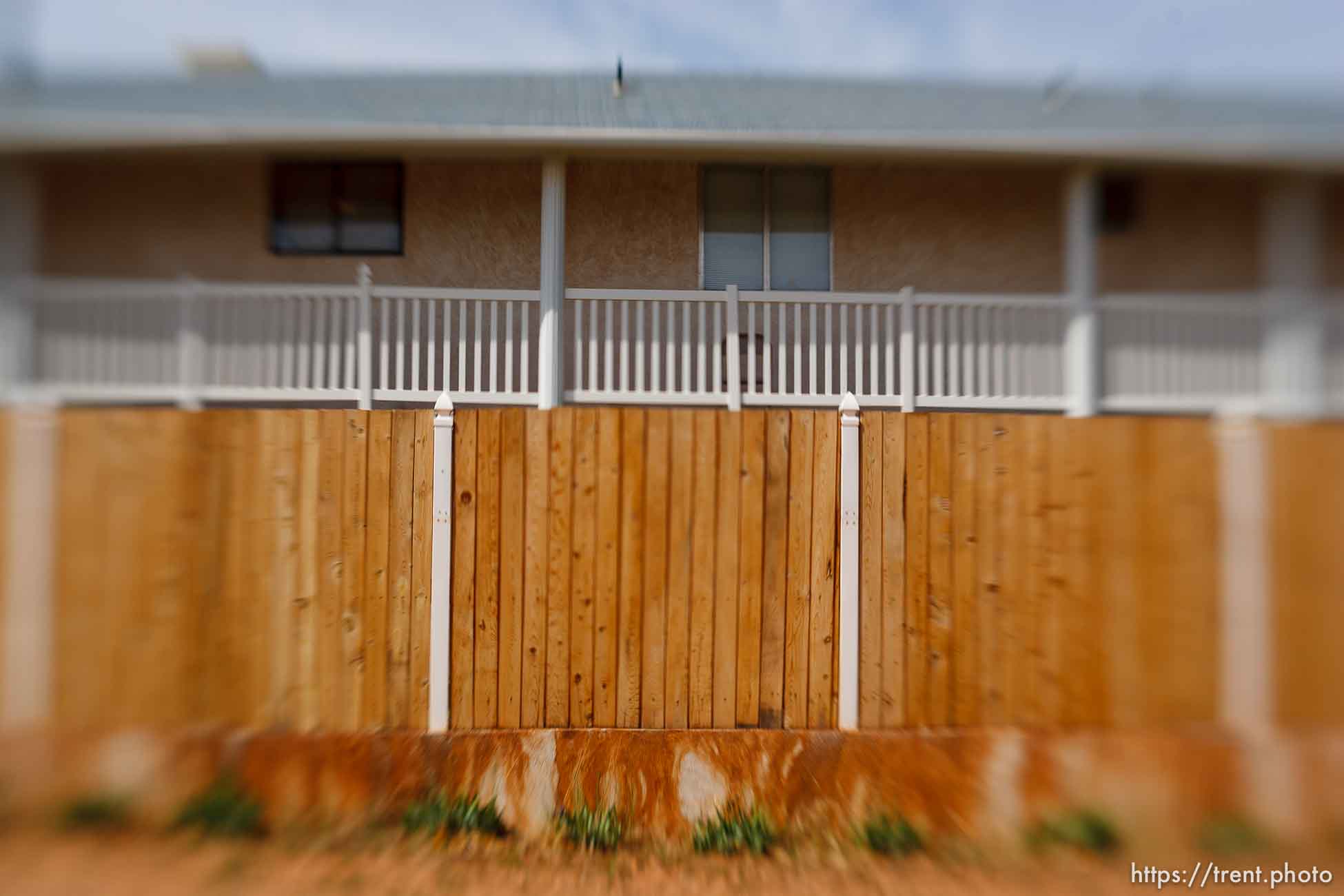 Polygamy in the American West