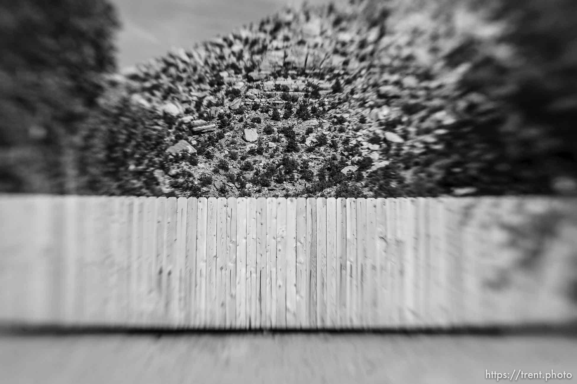 Polygamy in the American West