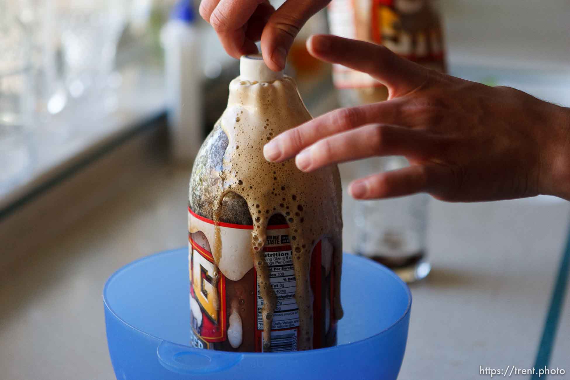 Polygamy in the American West