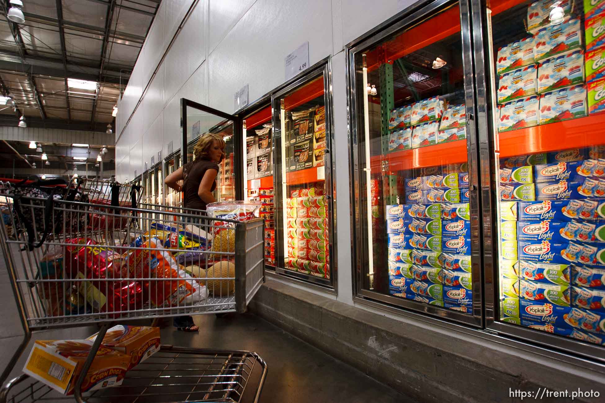 Canon EOS-1D Mark II N