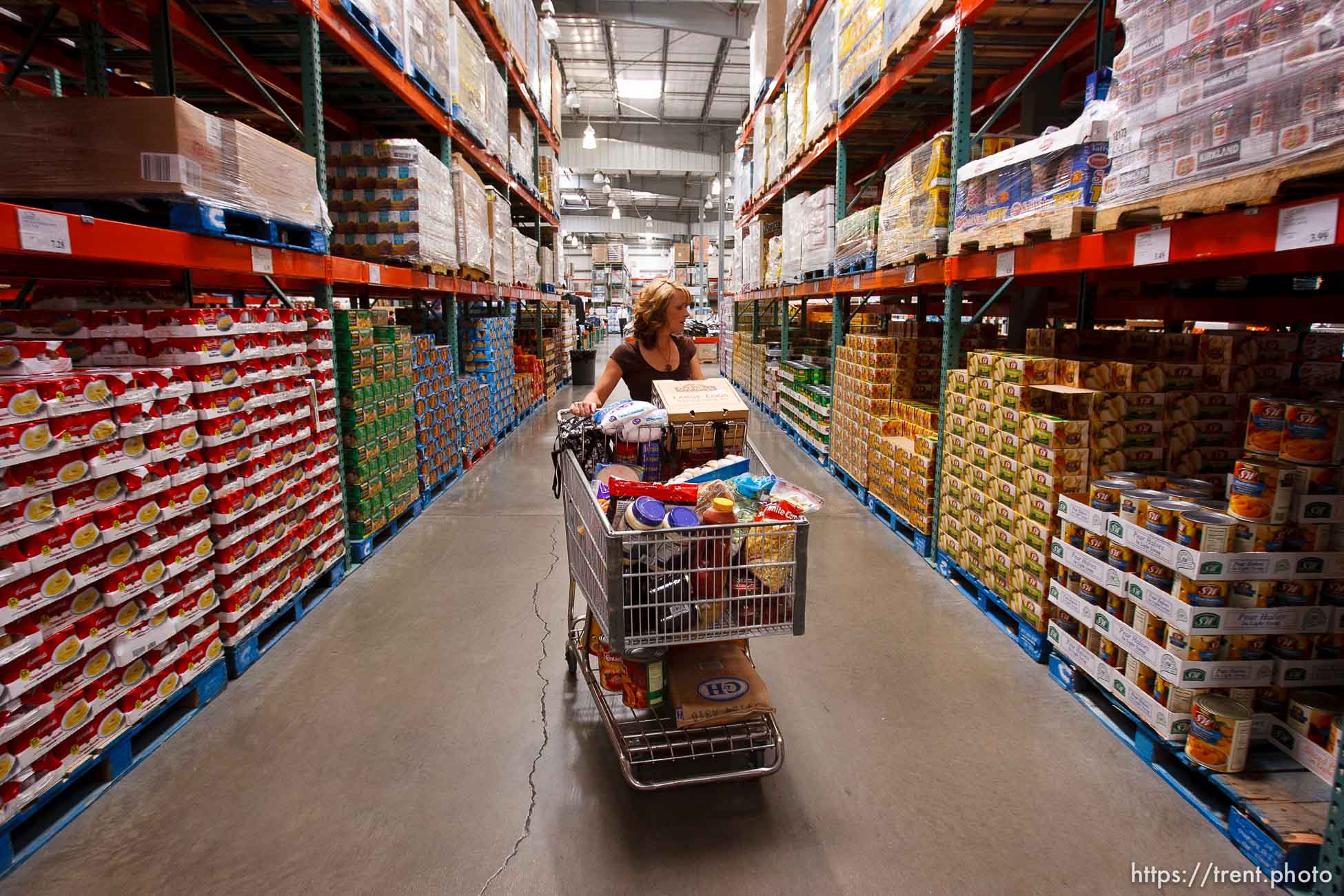 Canon EOS-1D Mark II N