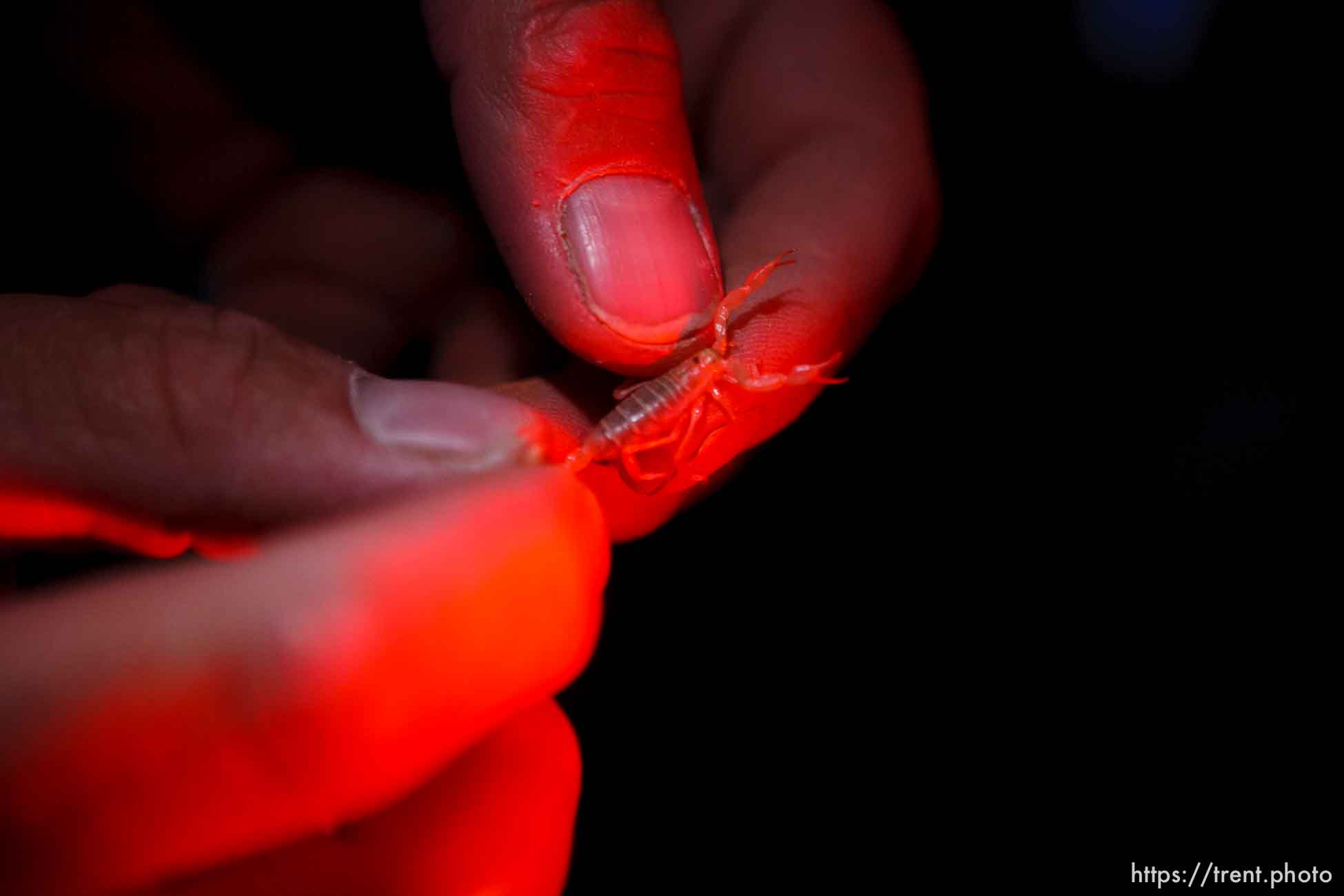 Sand Hollow State Park