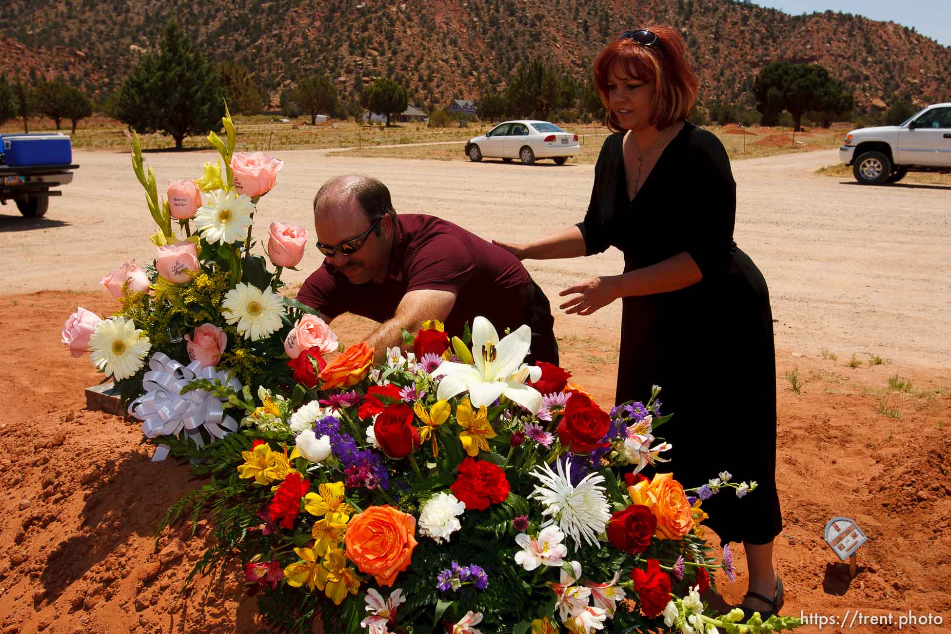 Canon EOS-1D Mark II N