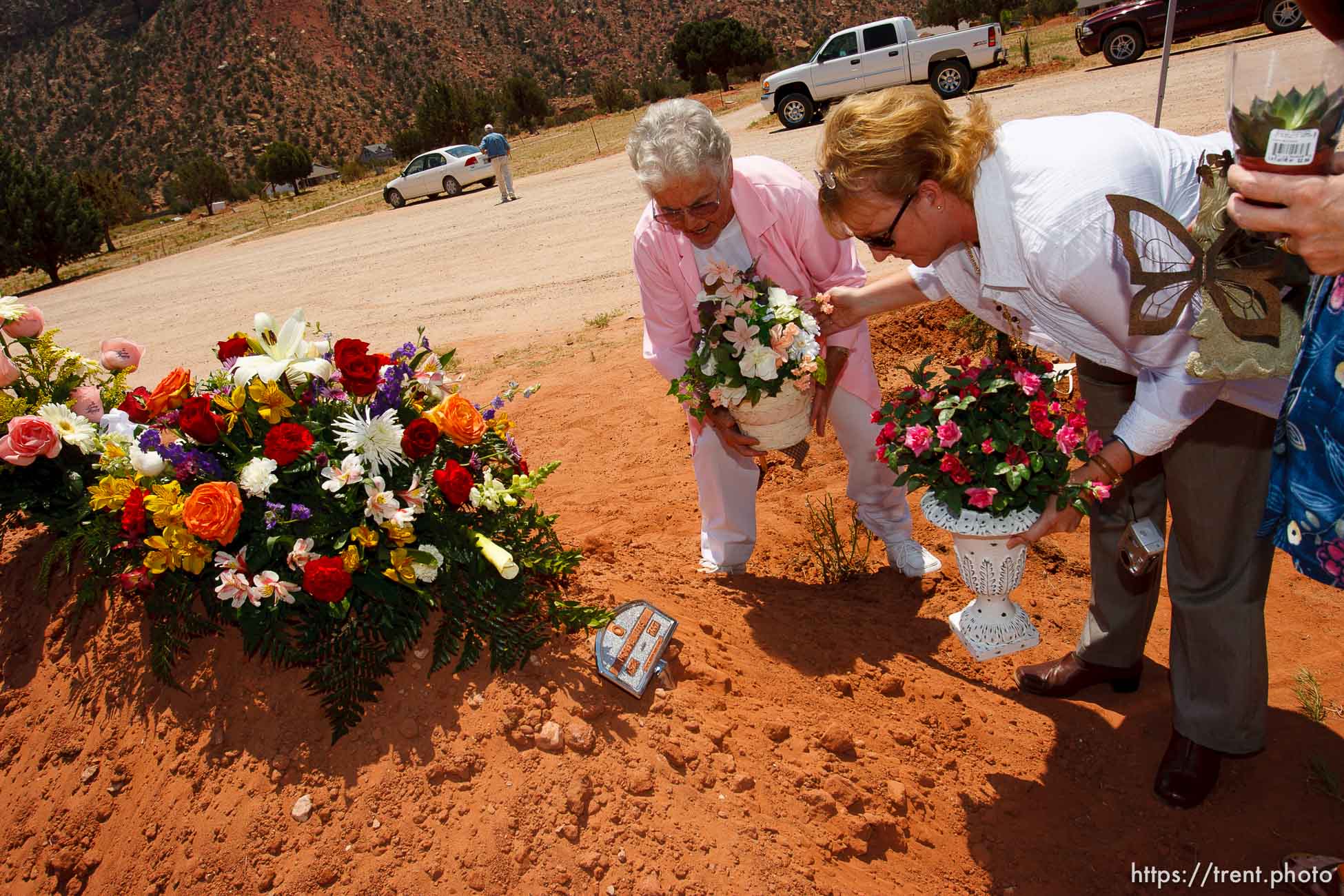 Canon EOS-1D Mark II N