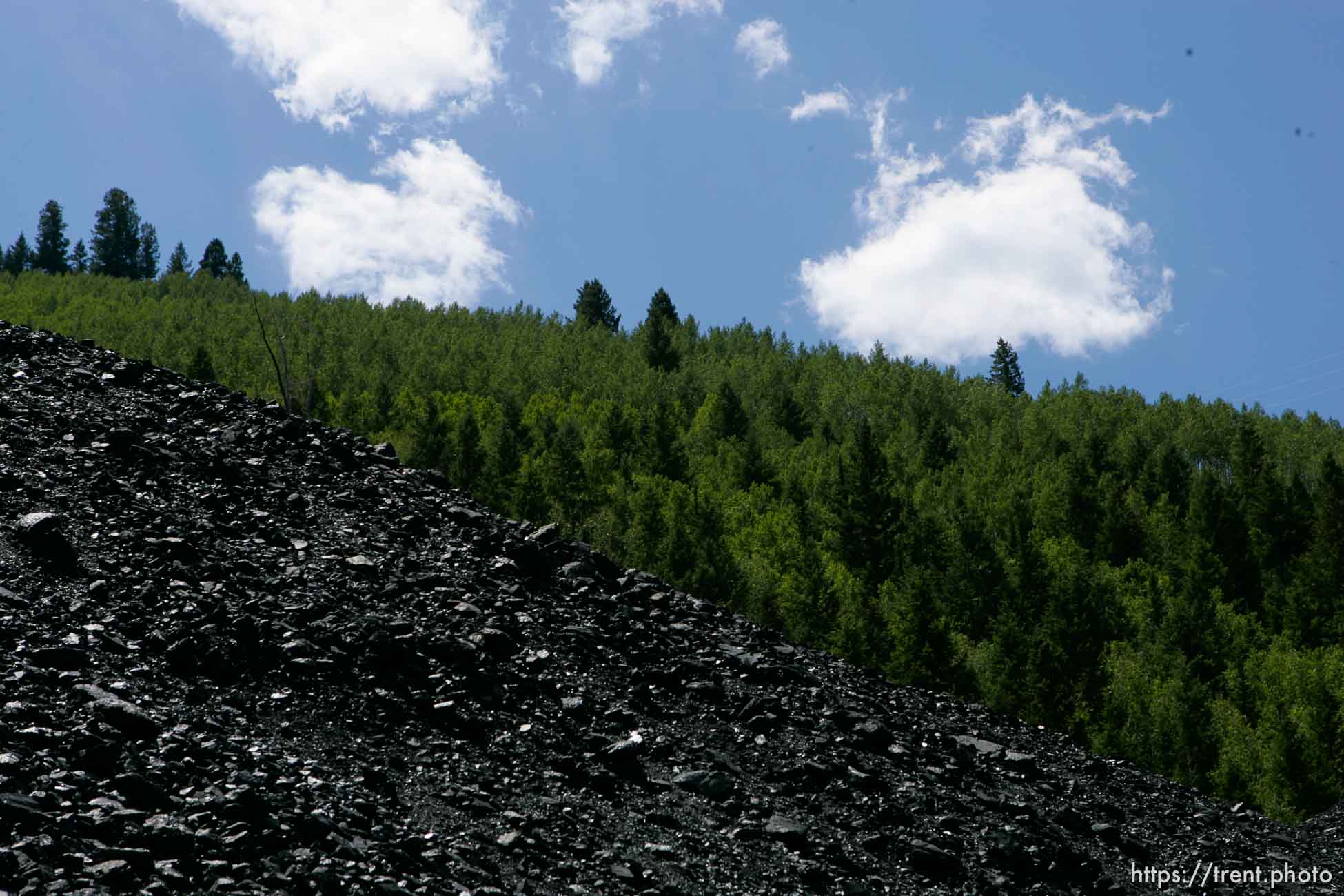 Canon EOS-1D Mark II N