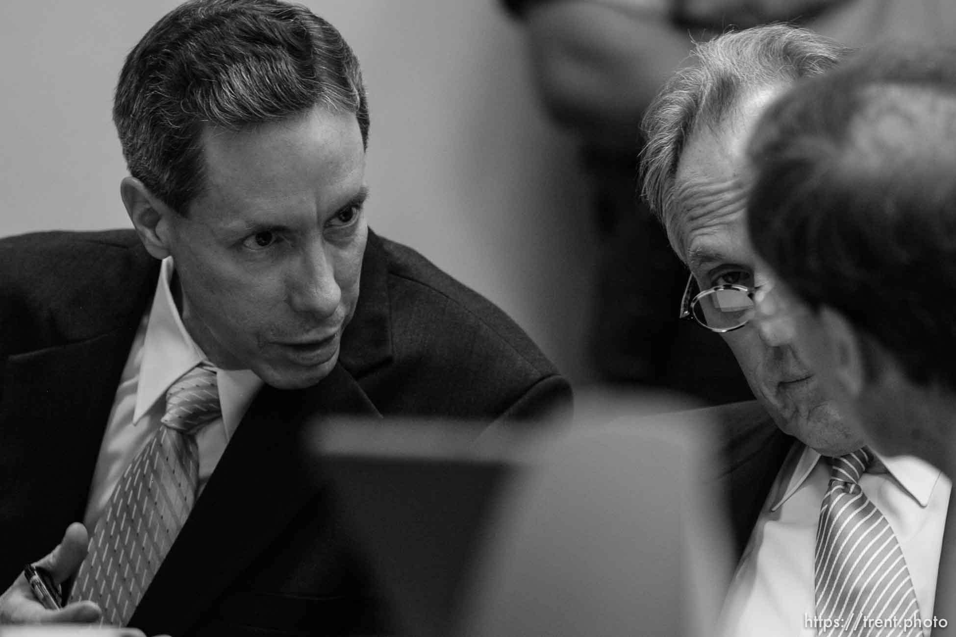 Polygamy in the American West