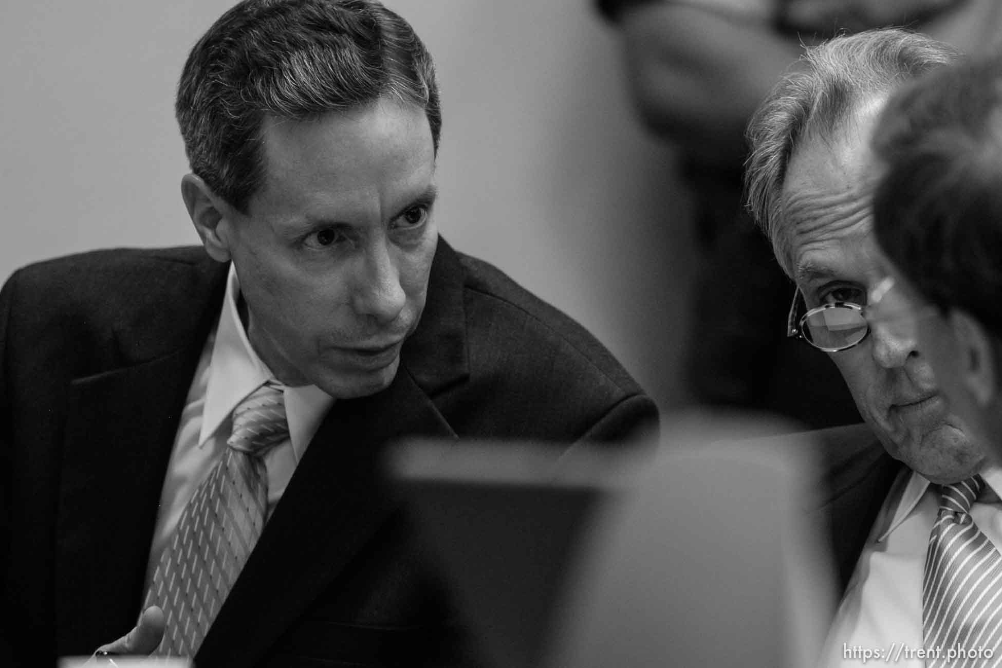 Polygamy in the American West