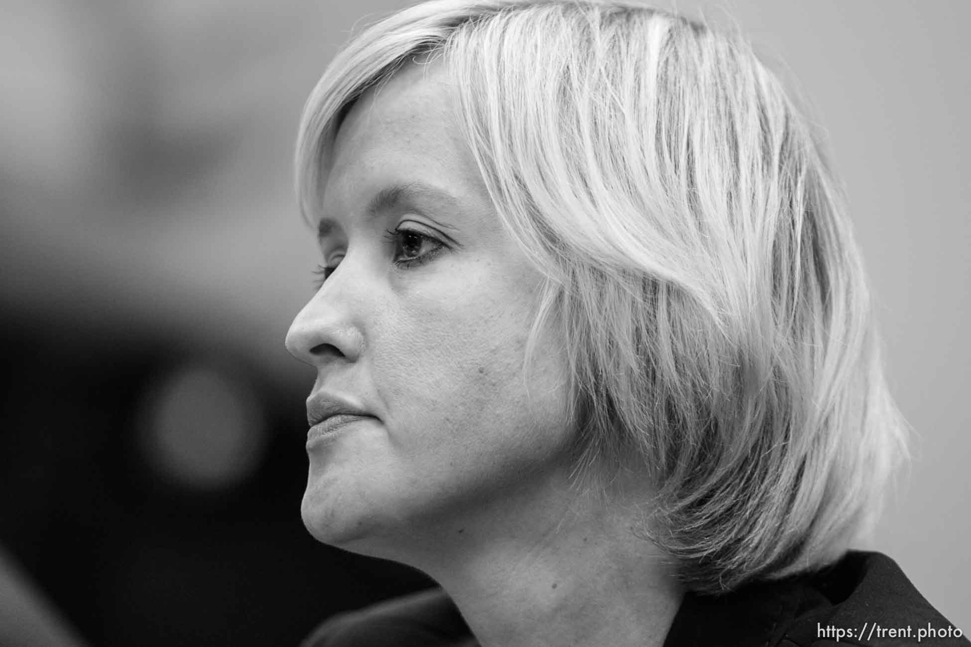 Polygamy in the American West