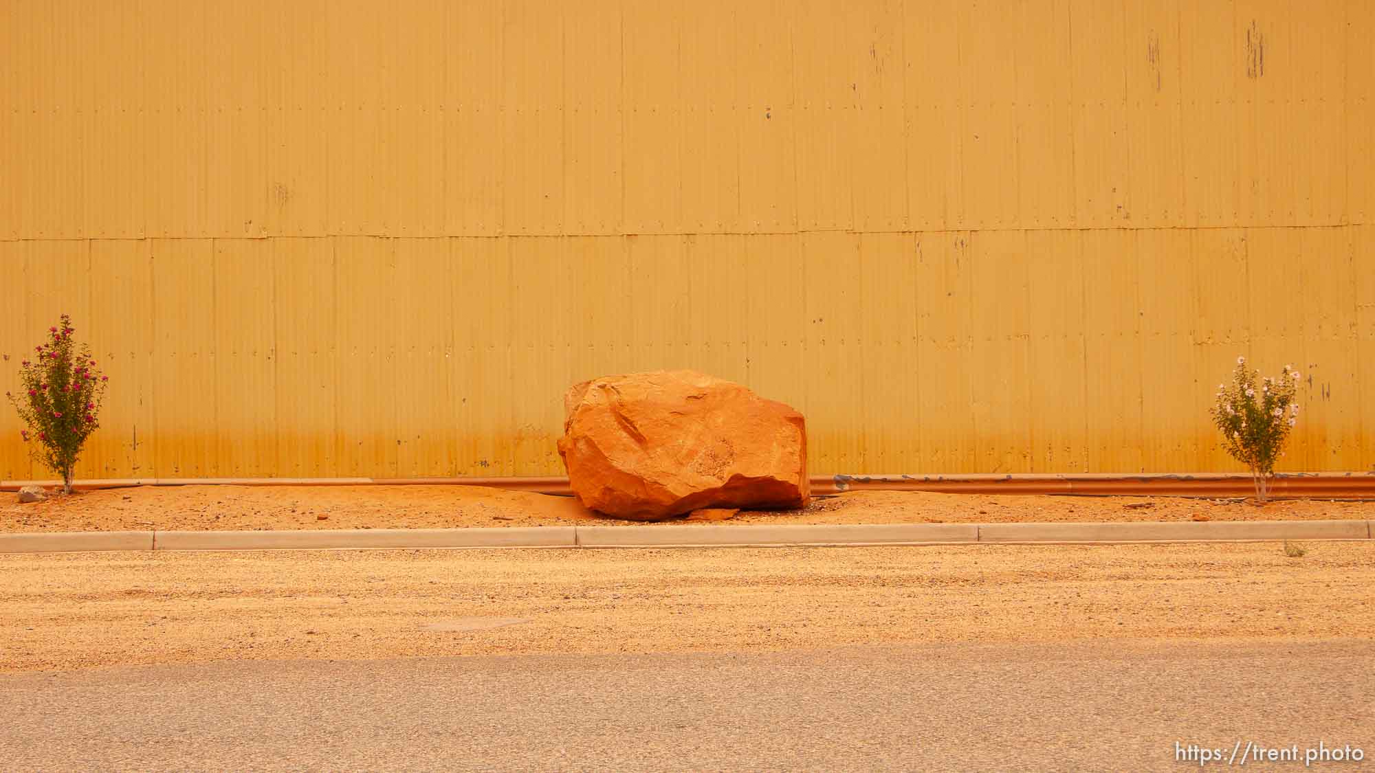 Canon EOS-1D Mark II N