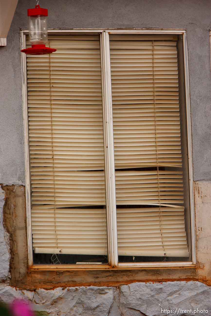 Canon EOS-1D Mark II N