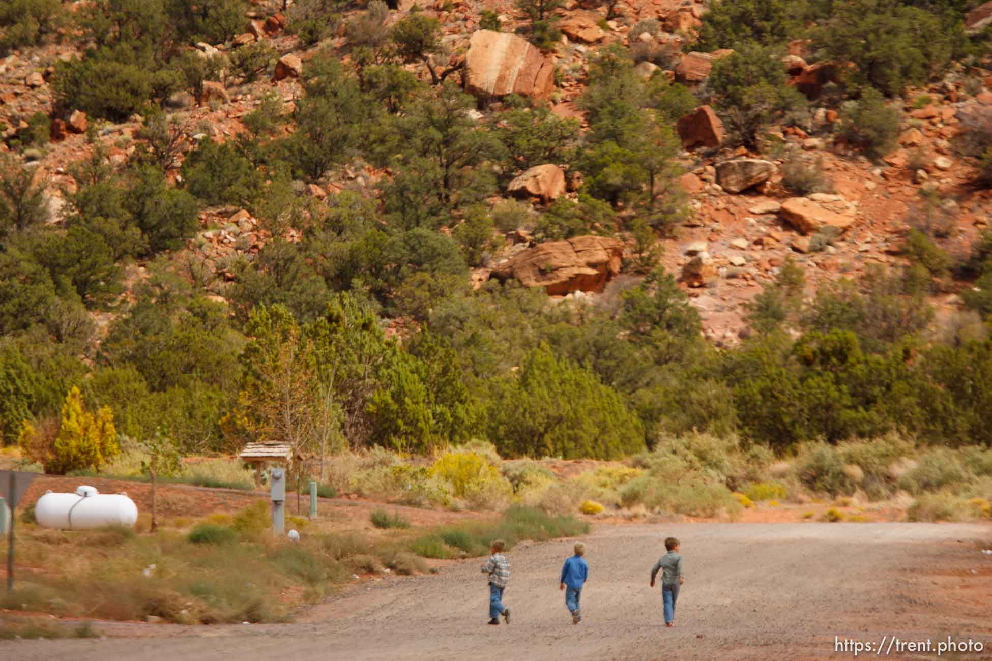 Canon EOS-1D Mark II N