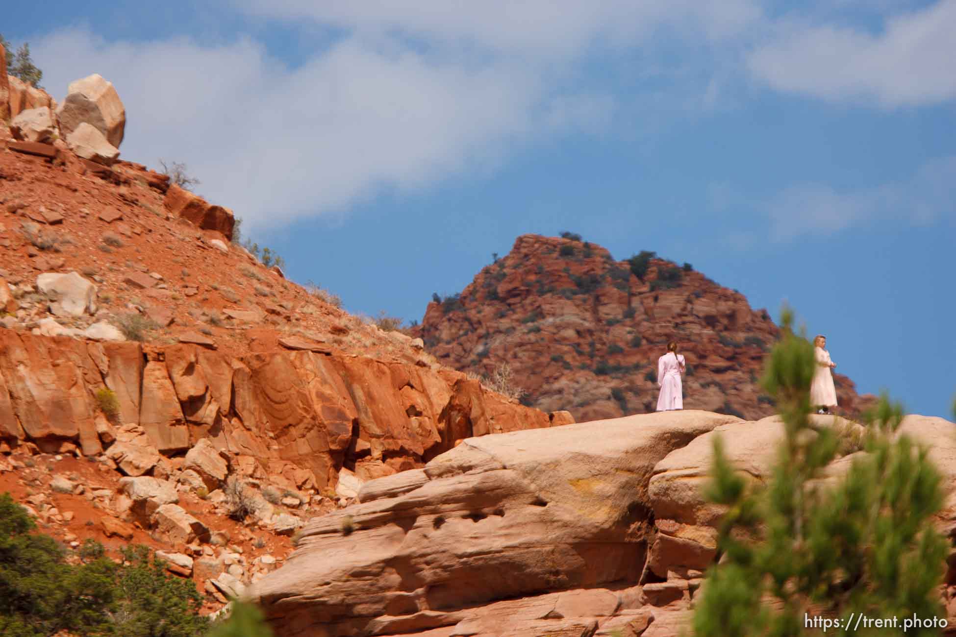 Canon EOS-1D Mark II N