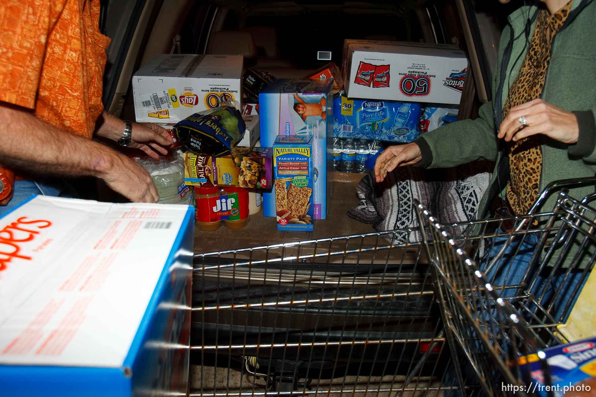 Polygamy in the American West