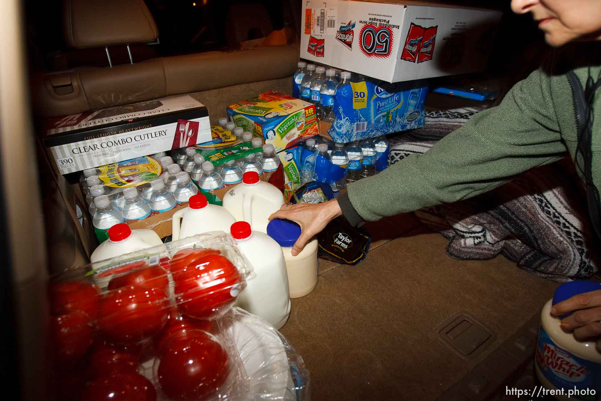 Polygamy in the American West