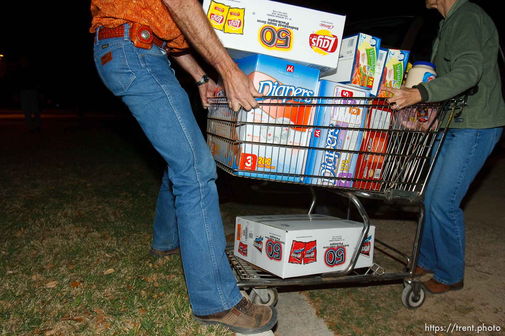 Polygamy in the American West