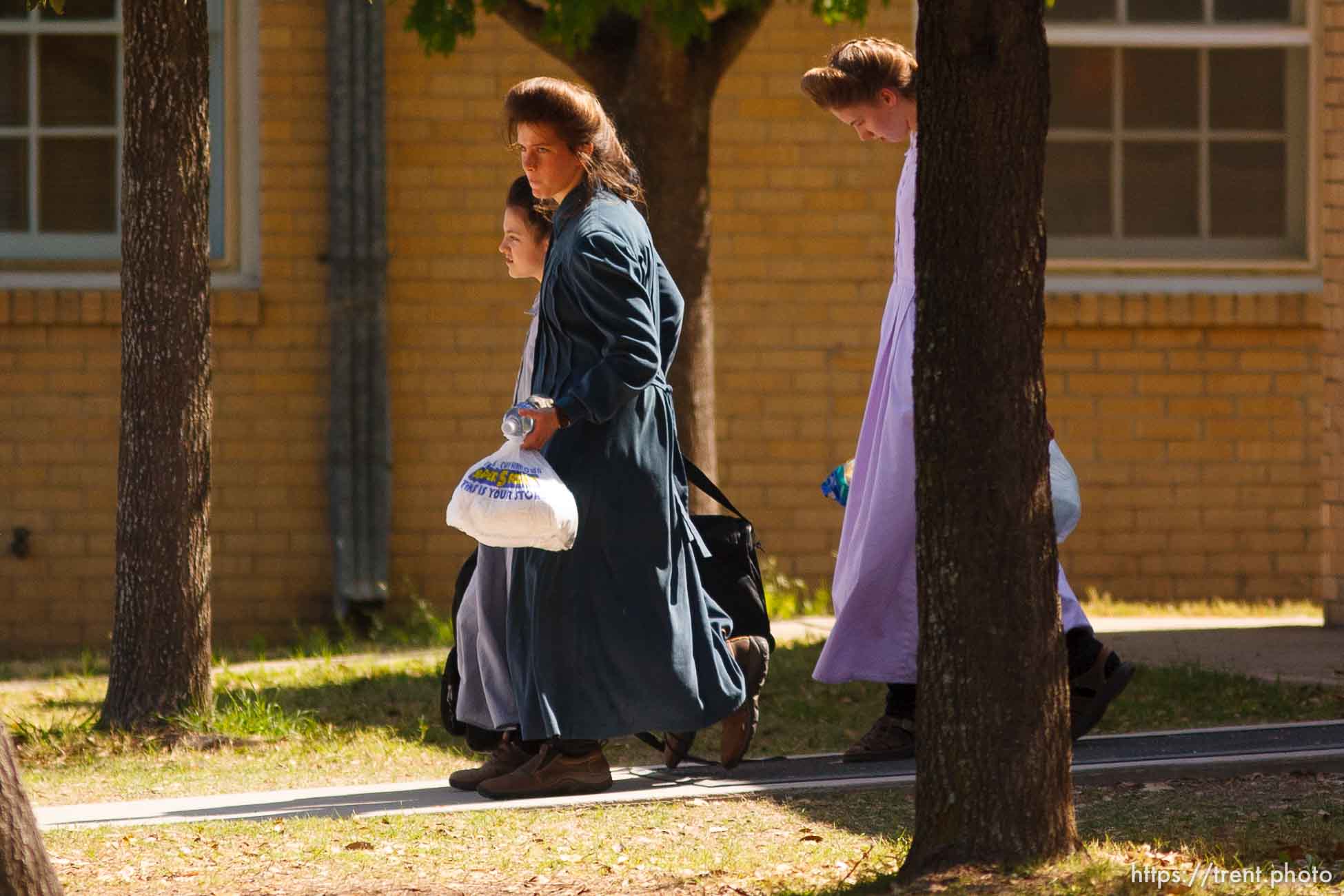 Polygamy in the American West