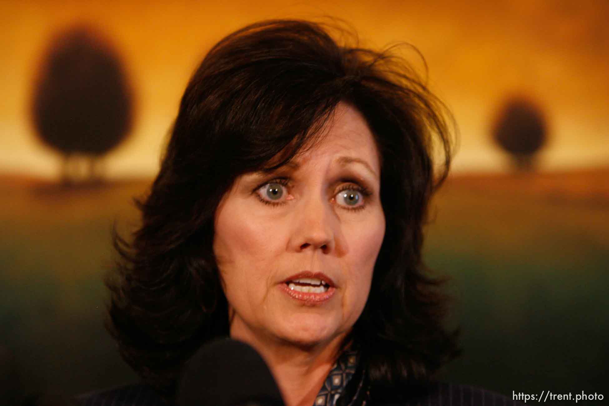 Canon EOS-1D Mark II N