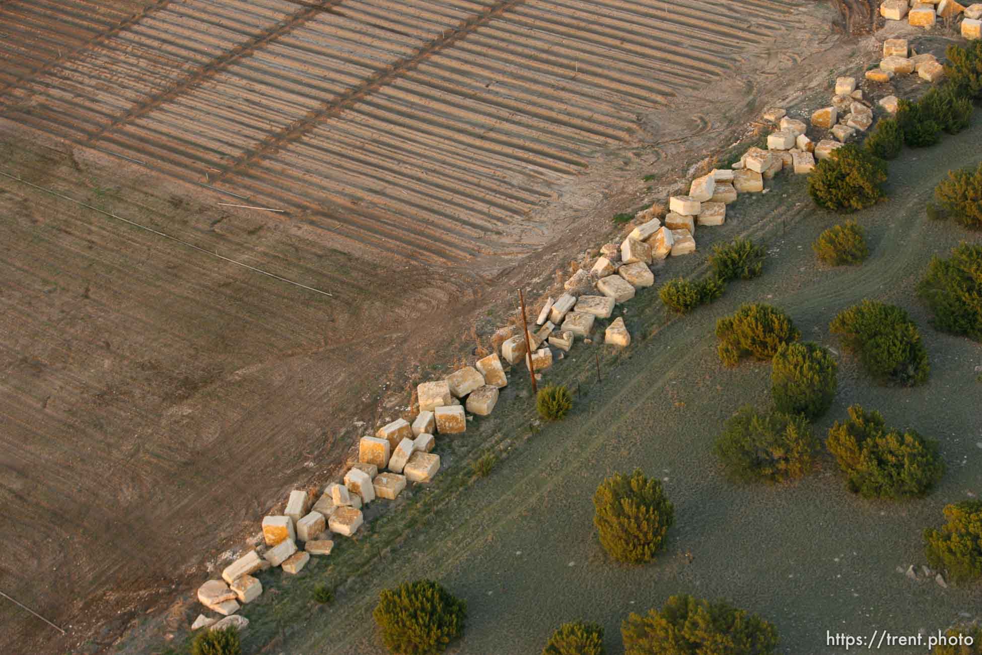 Polygamy in the American West