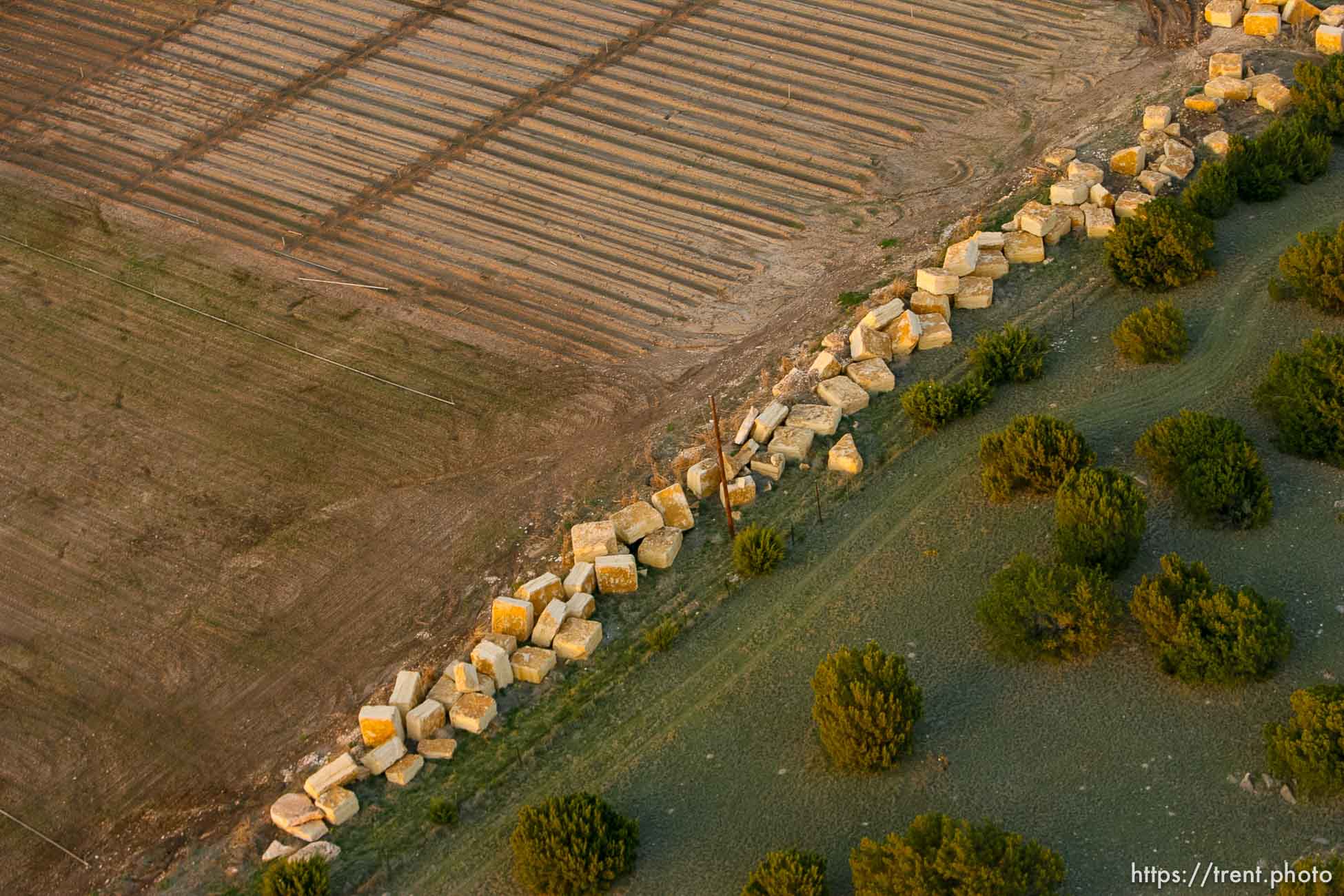 Polygamy in the American West
