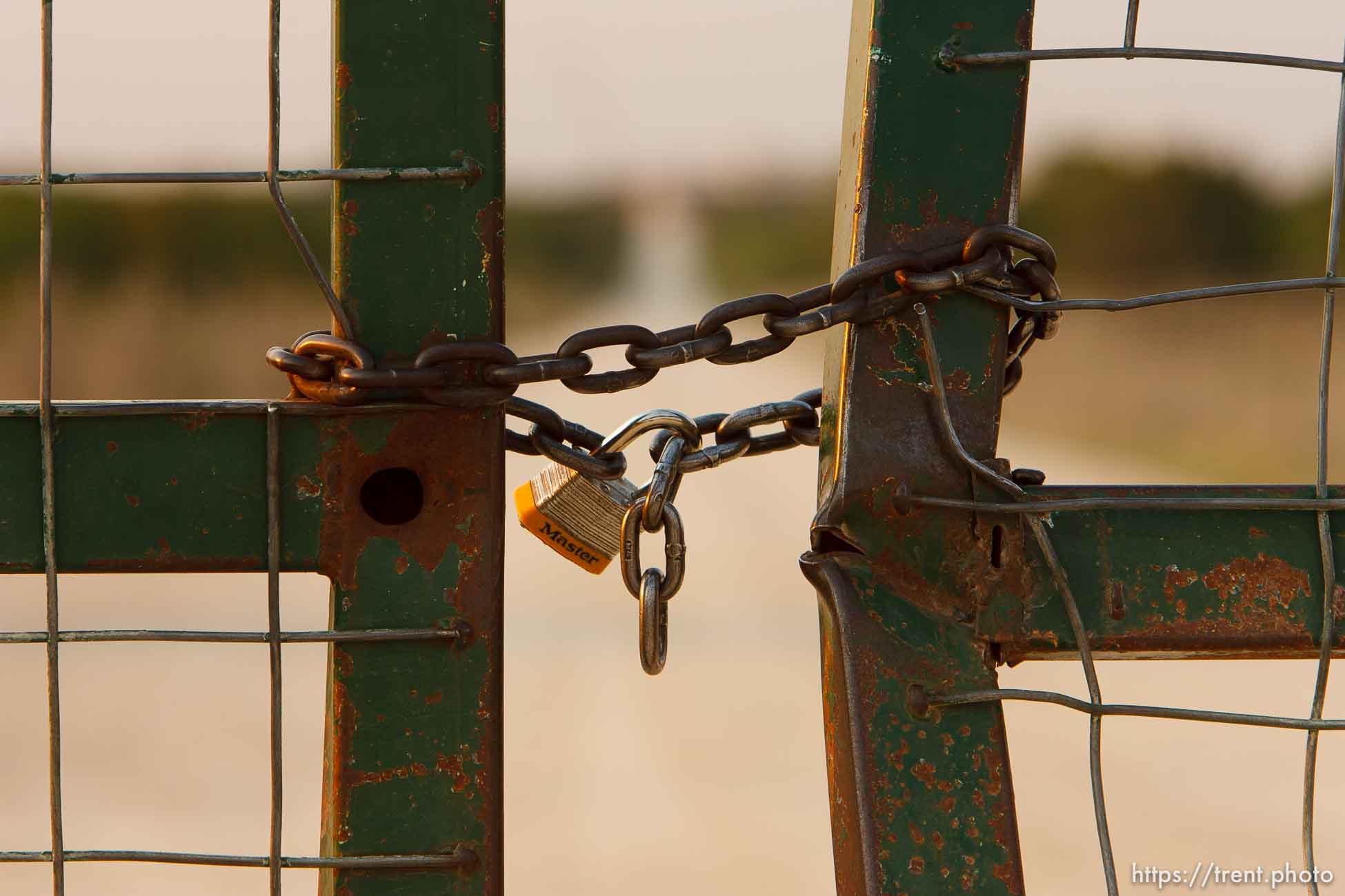 Polygamy in the American West