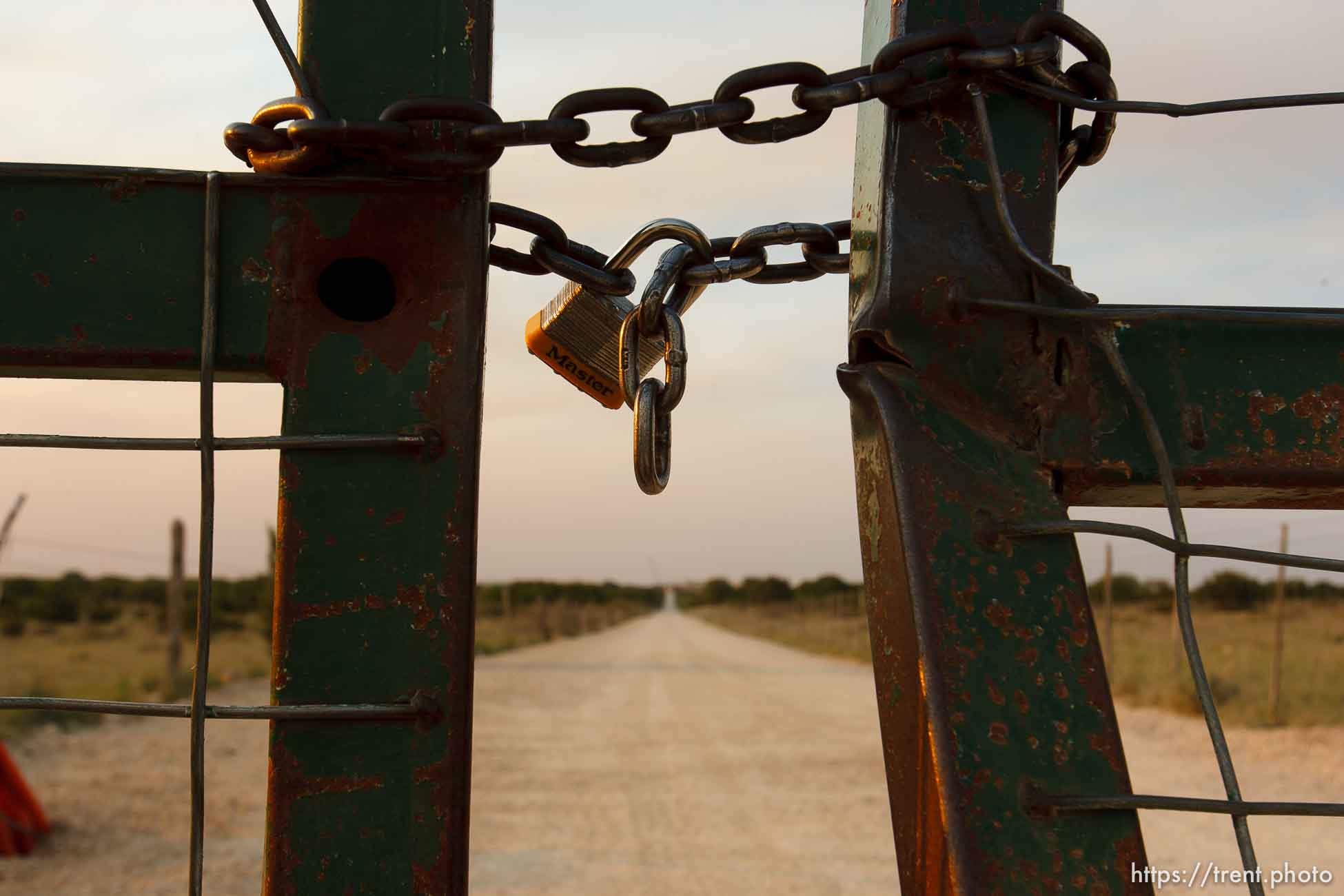 Canon EOS-1D Mark II N